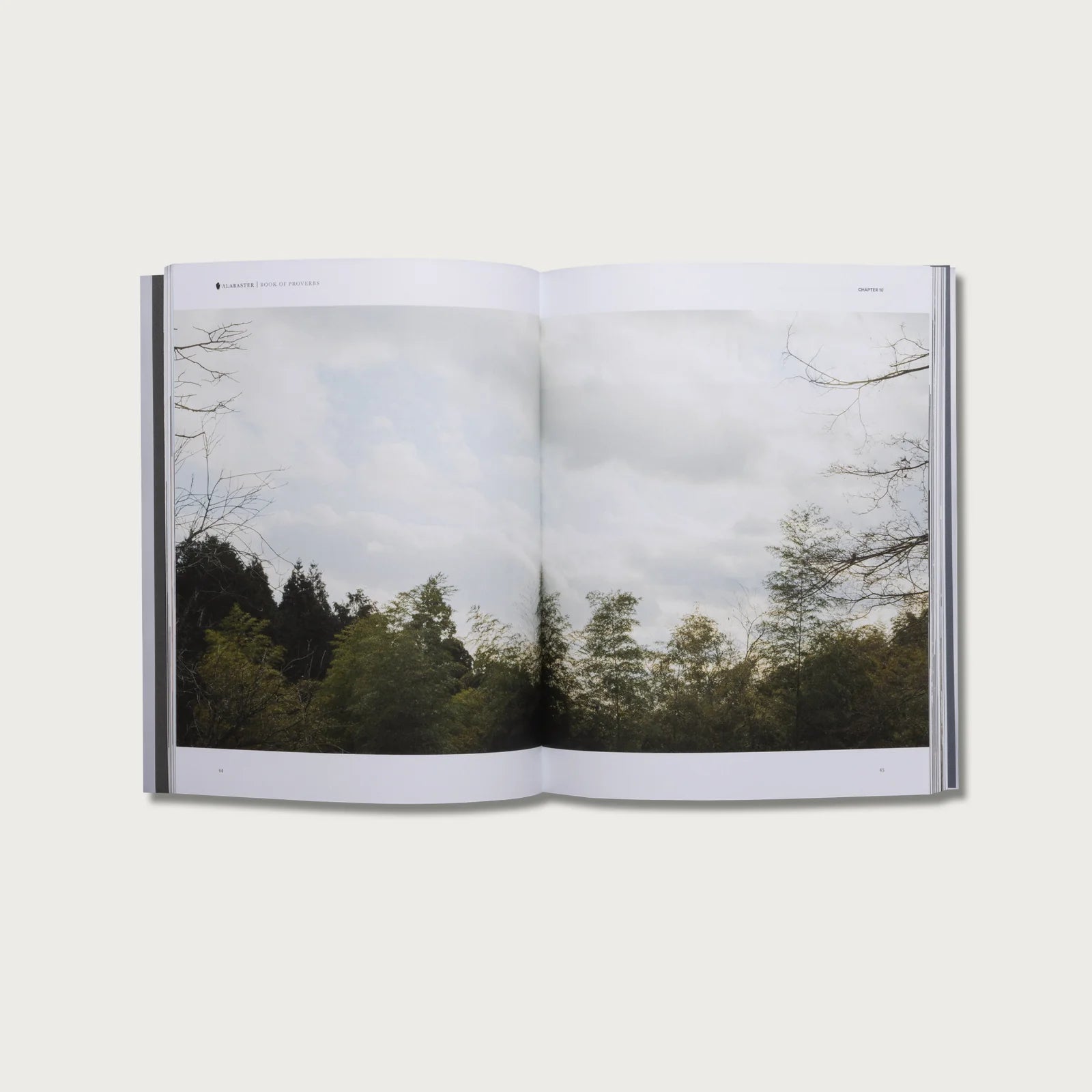 Alabaster // The Book of Proverbs - passion resources