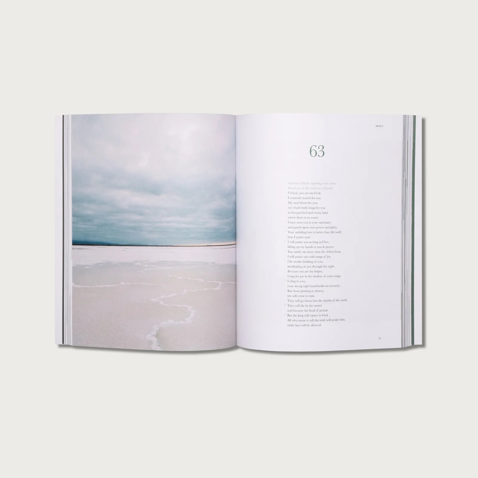 Alabaster // The Book of Psalms - passion resources