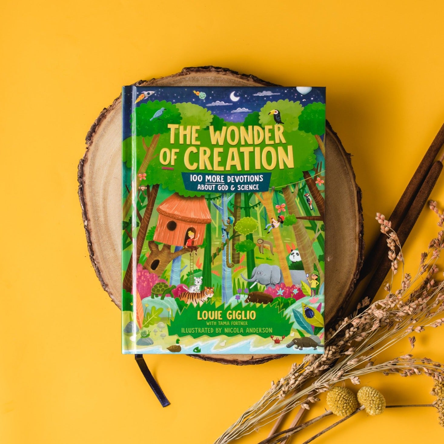 The Wonder of Creation: 100 More Devotions About God and Science - Louie Giglio - passion resources