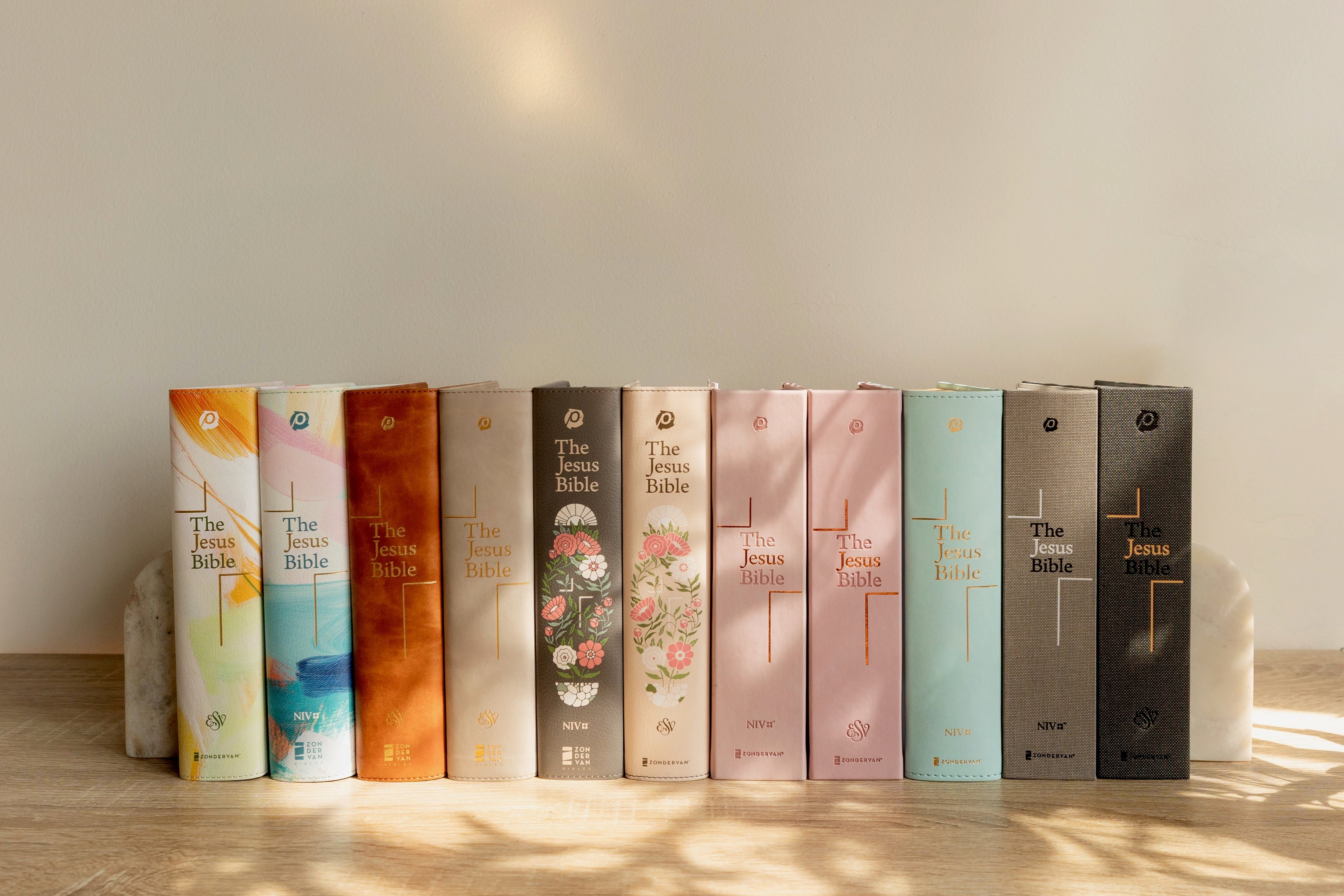 Jesus Bibles