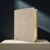 The Jesus Bible - NIV - Stone Leathersoft // Pre-Order - passion resources