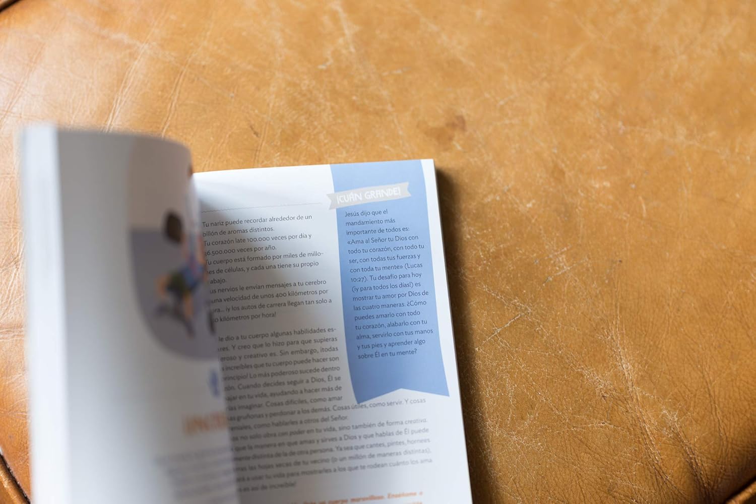 ¡Cuán grande es nuestro Dios!: 100 Devocionales indescriptibles acerca de Dios y la ciencia (Indescribable Kids) (Spanish Edition)