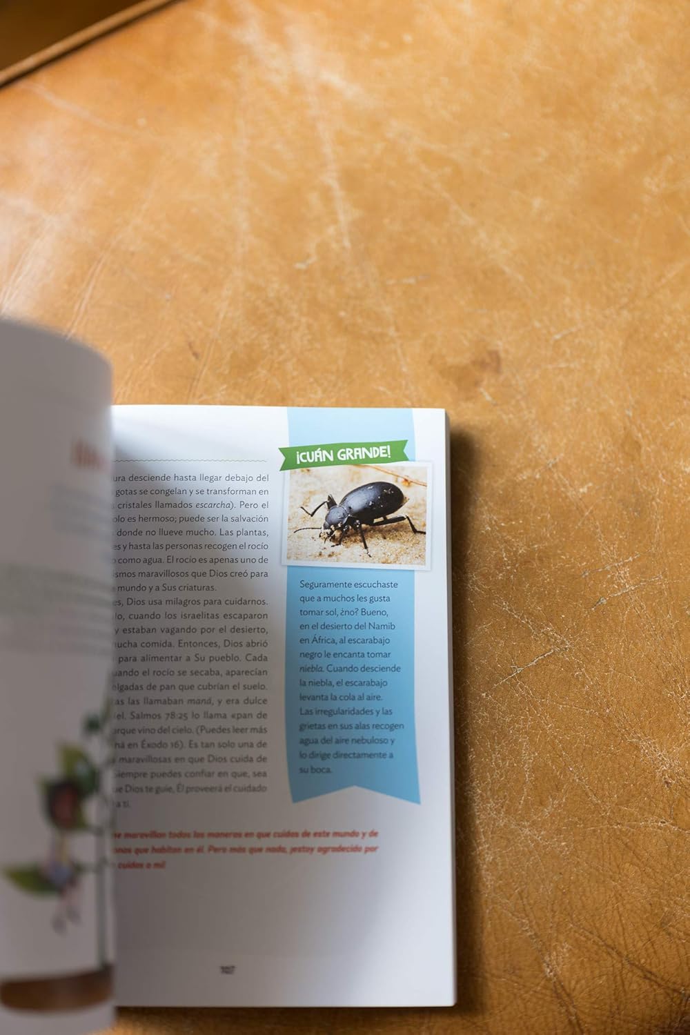 ¡Cuán grande es nuestro Dios!: 100 Devocionales indescriptibles acerca de Dios y la ciencia (Indescribable Kids) (Spanish Edition)