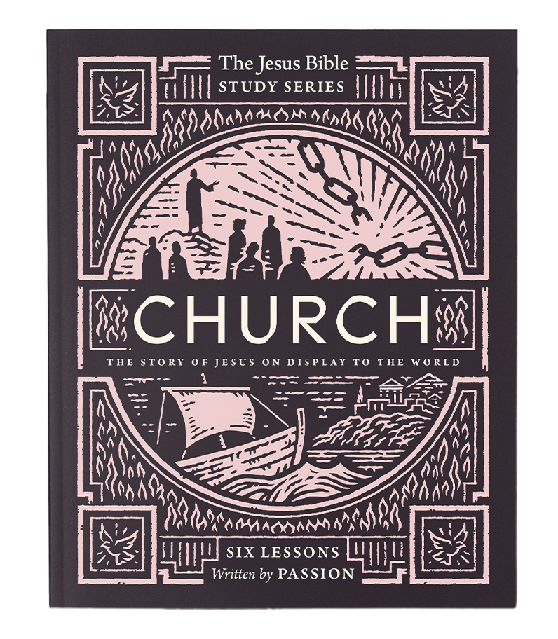Church Bible Study Guide: The Story of Jesus on Display to the World (Jesus Bible Study Series) - passion resources