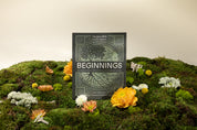 Beginnings Bible Study Guide: The Story of How All Things Were Created by God and for God (Jesus Bible Study Series) - passion resources