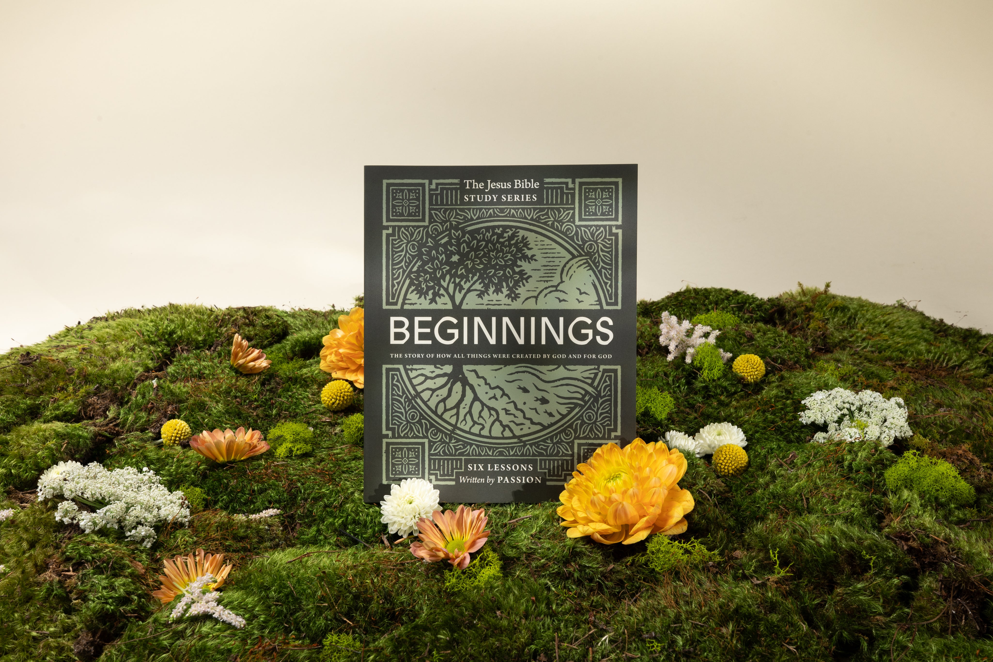 Beginnings Bible Study Guide: The Story of How All Things Were Created by God and for God (Jesus Bible Study Series) - passion resources