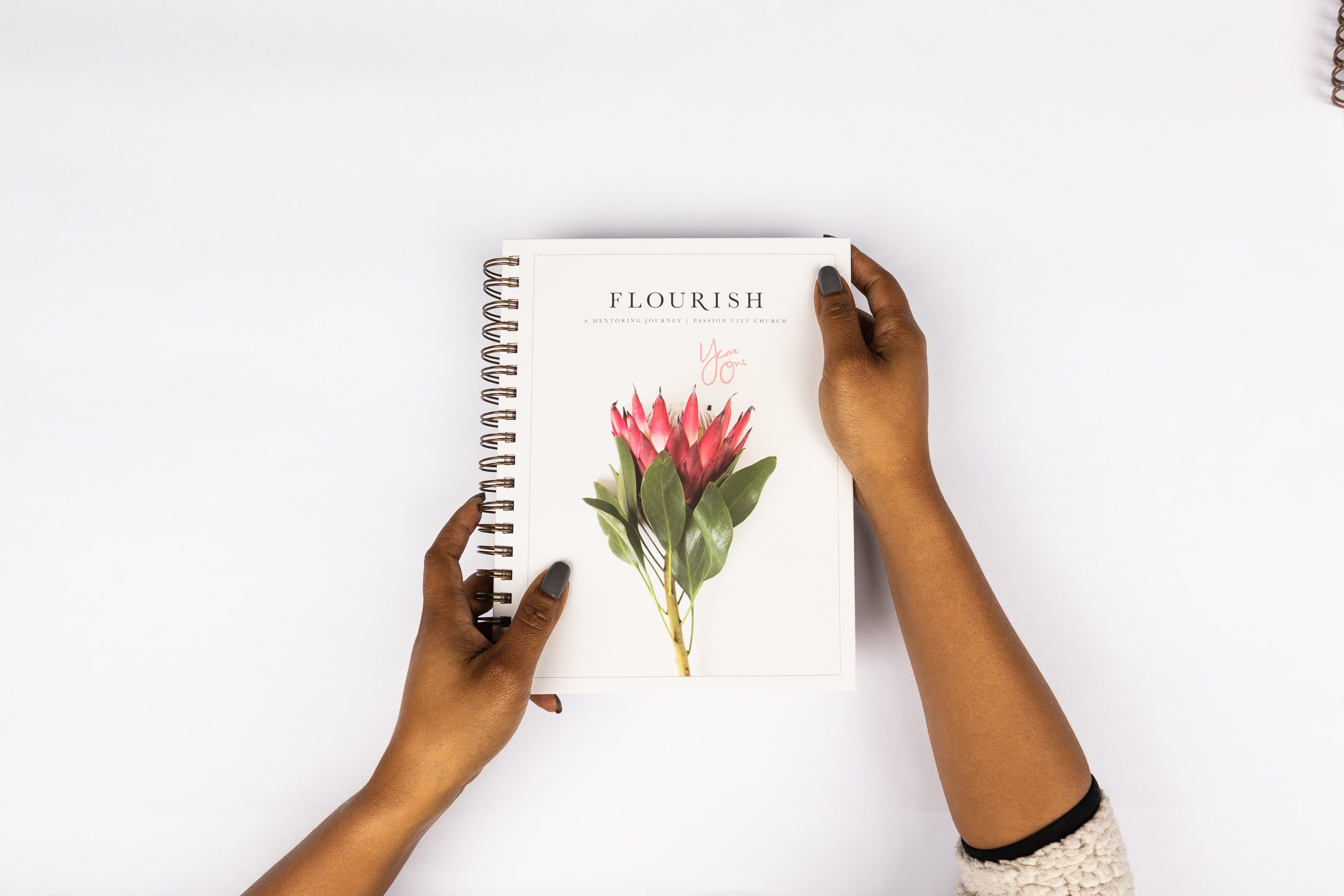 Flourish: A Mentoring Journey - Year One - passion resources