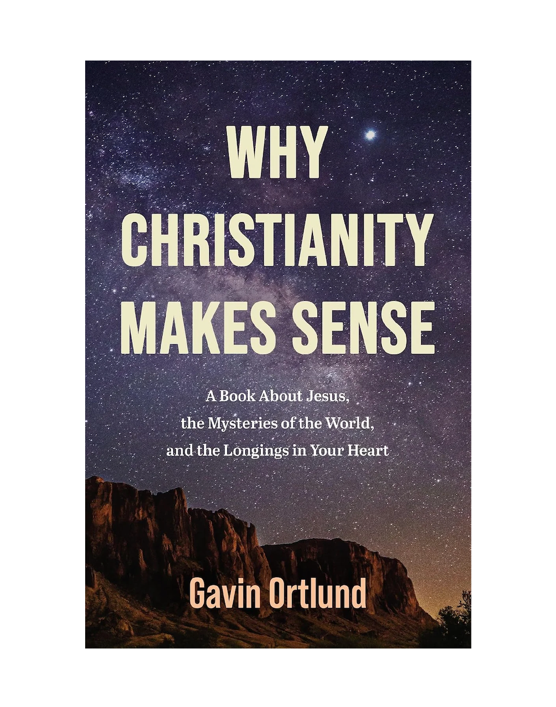 Why Christianity Makes Sense // Gavin Ortlund