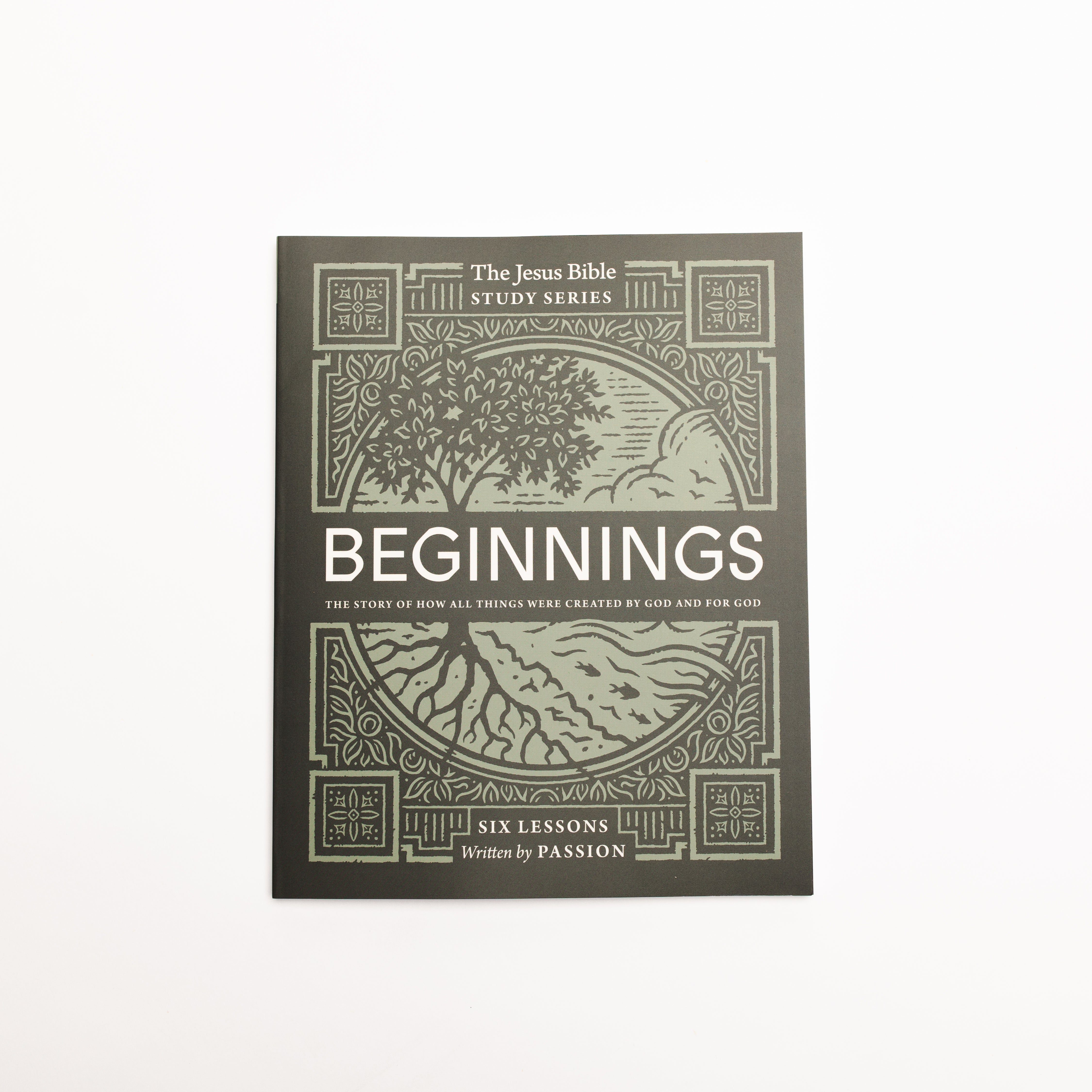 Beginnings Bible Study Guide: The Story of How All Things Were Created ...