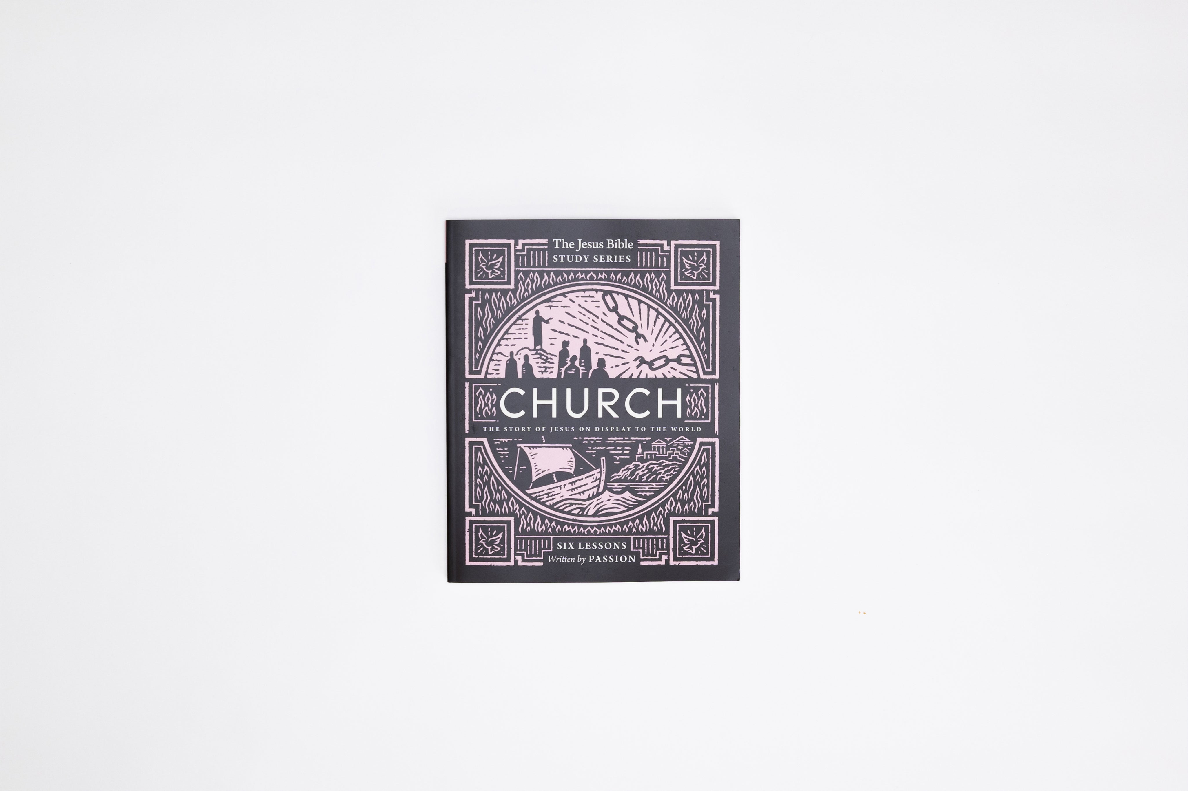 Church Bible Study Guide: The Story of Jesus on Display to the World (Jesus Bible Study Series) - passion resources