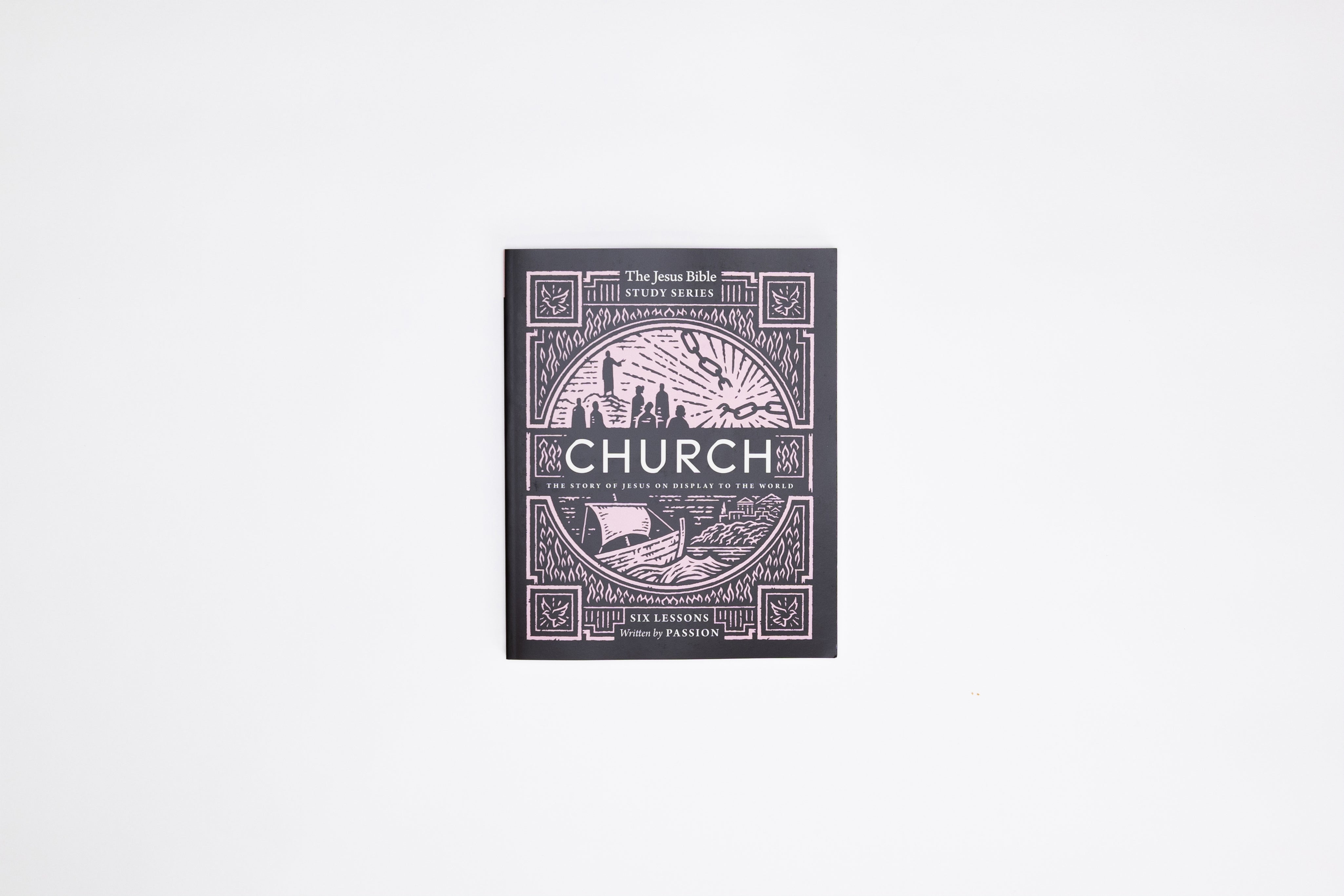 Church Bible Study Guide: The Story of Jesus on Display to the World (Jesus Bible Study Series) - passion resources