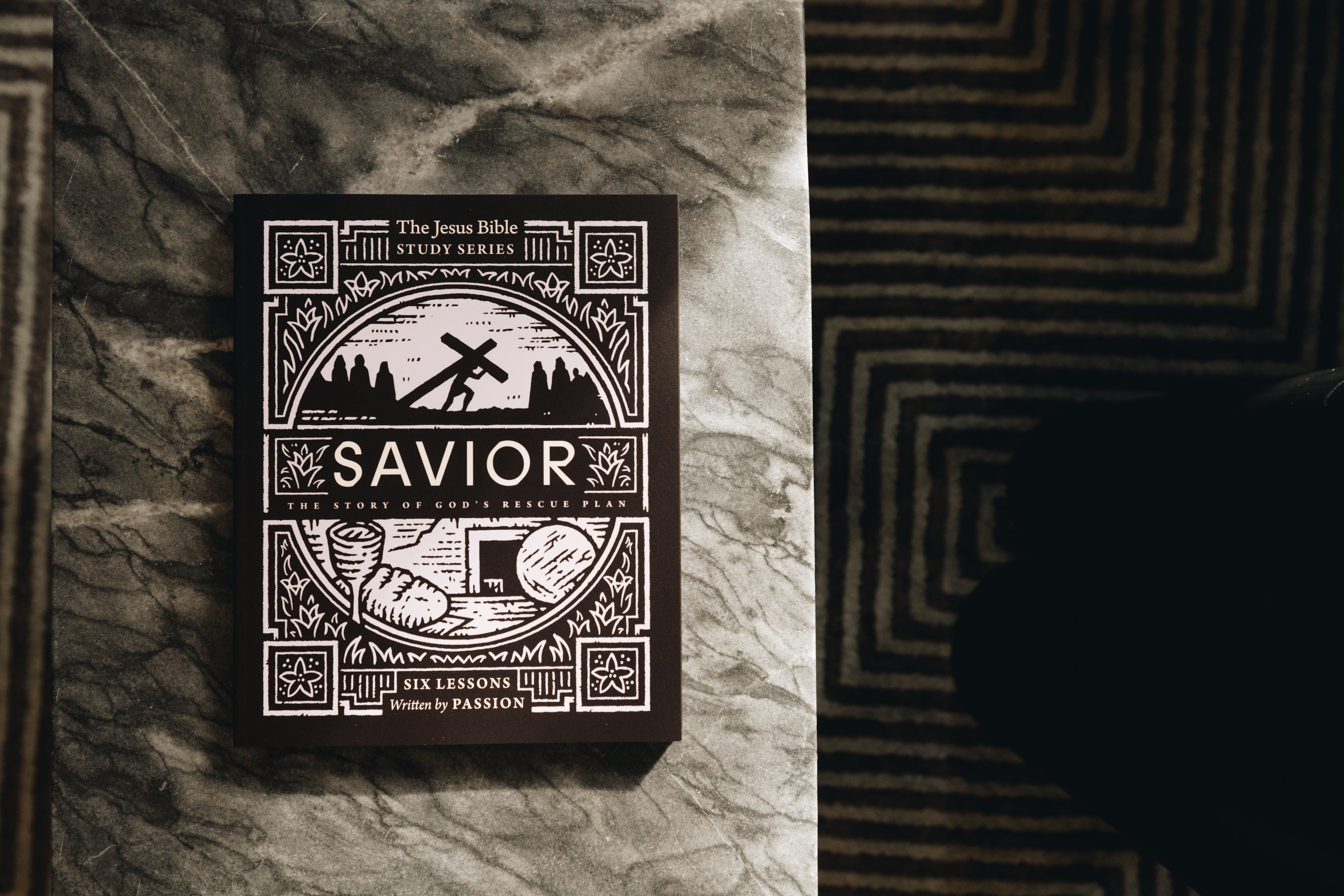 Savior Bible Study Guide: The Story of God’s Rescue Plan (Jesus Bible Study Series) - passion resources