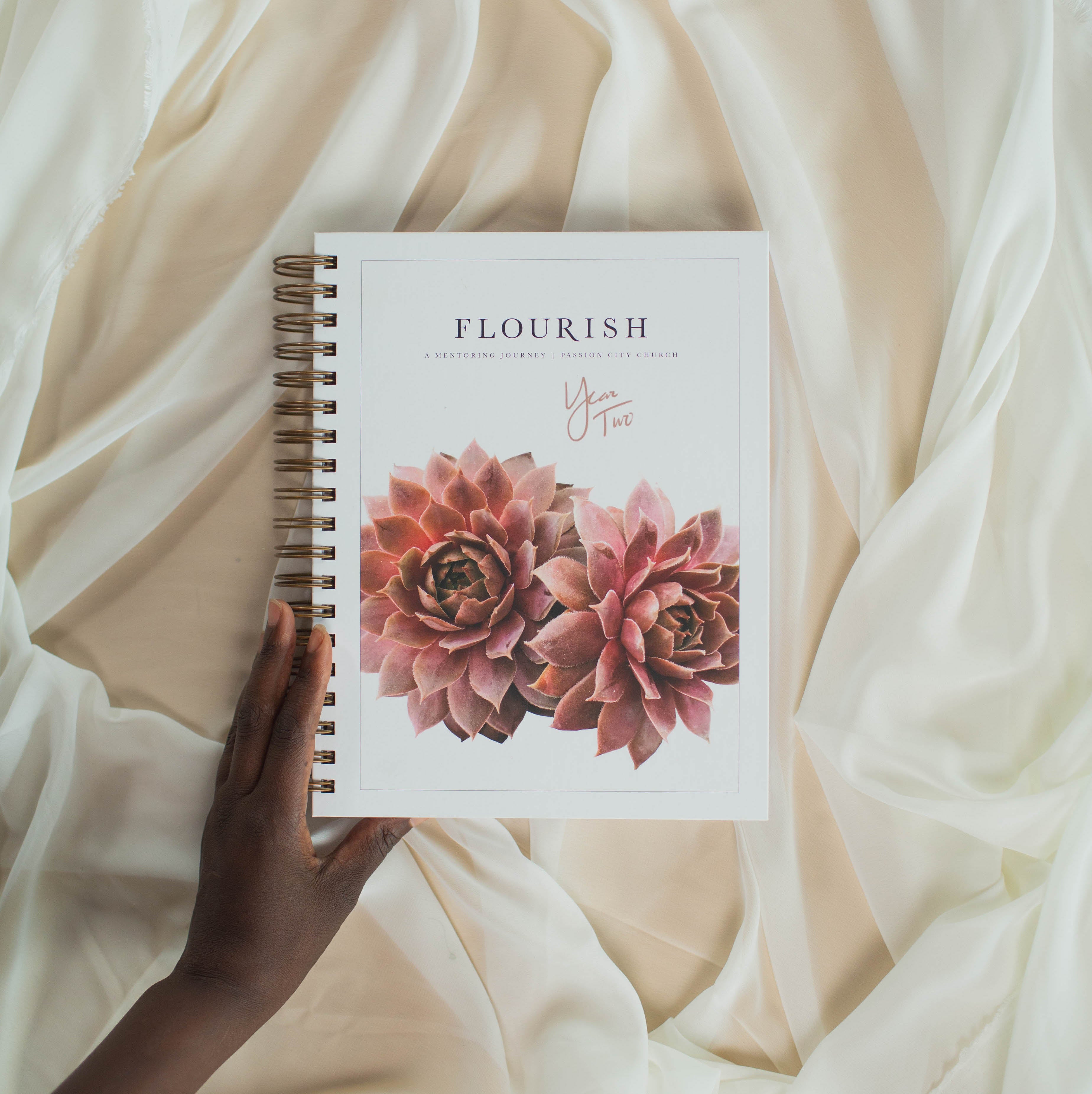 Flourish: A Mentoring Journey - Year Two - passion resources