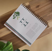Flourish: A Mentoring Journey - Year Two - passion resources