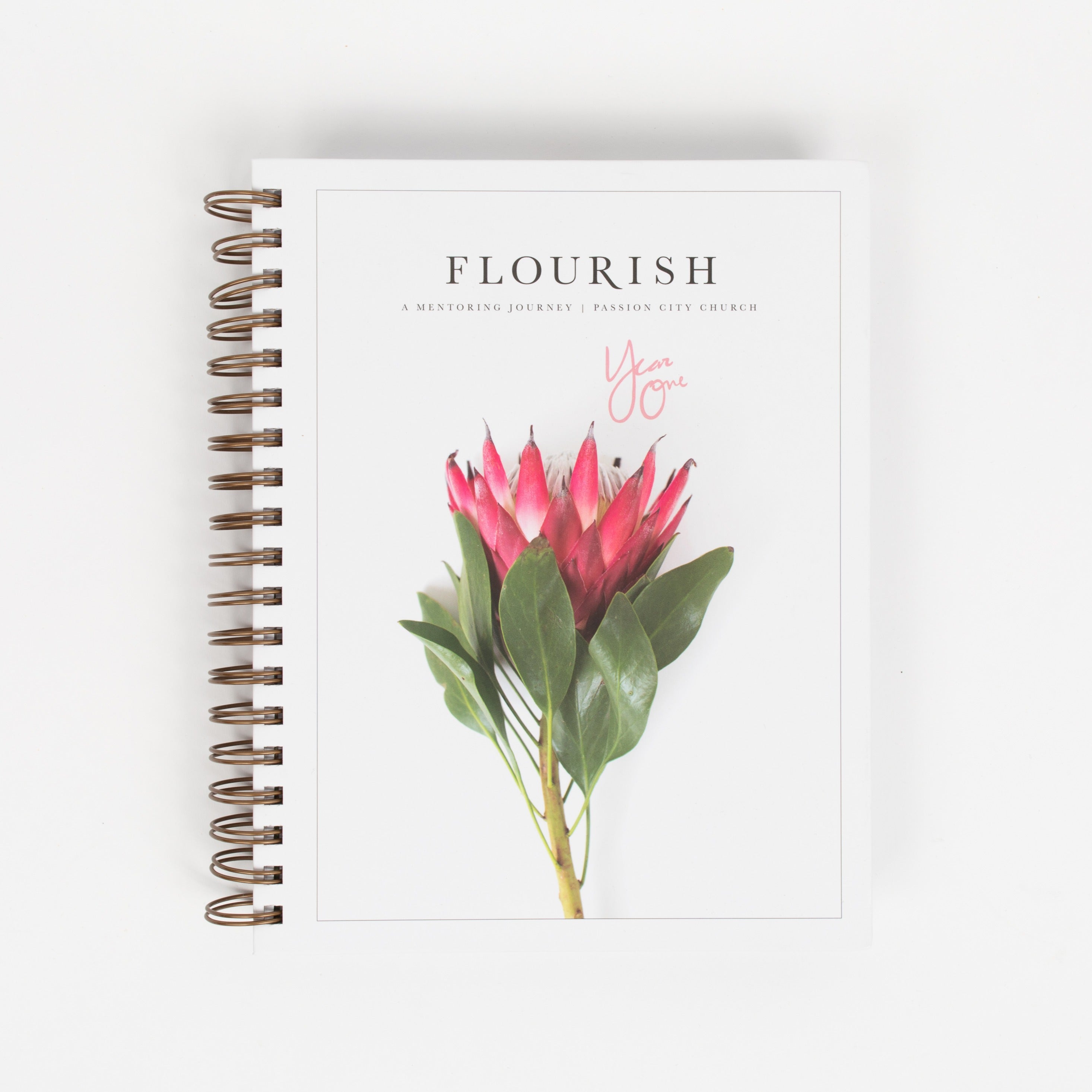 Flourish: A Mentoring Journey - Year One - passion resources