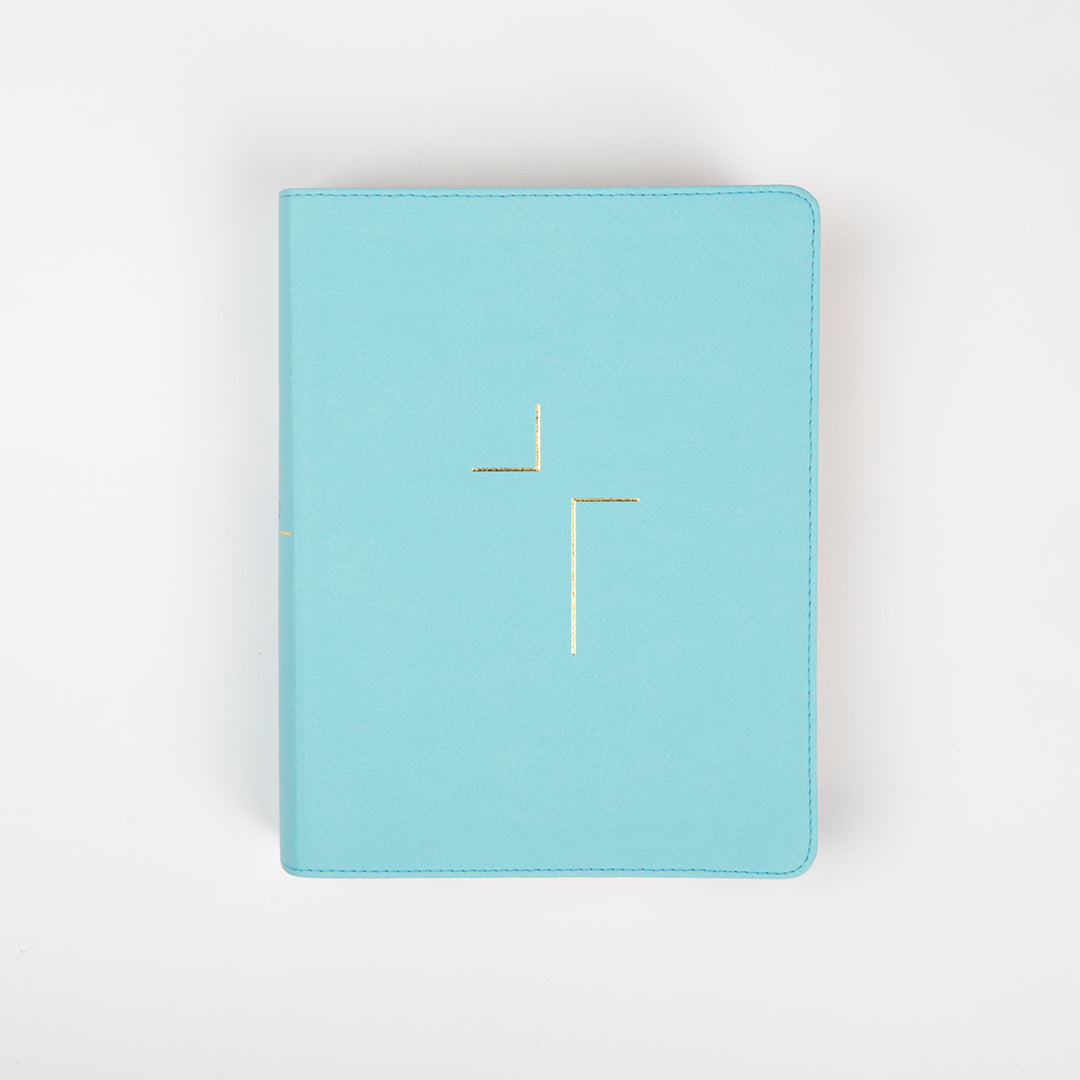 The Jesus Bible - NIV - Blue Leather - passion resources