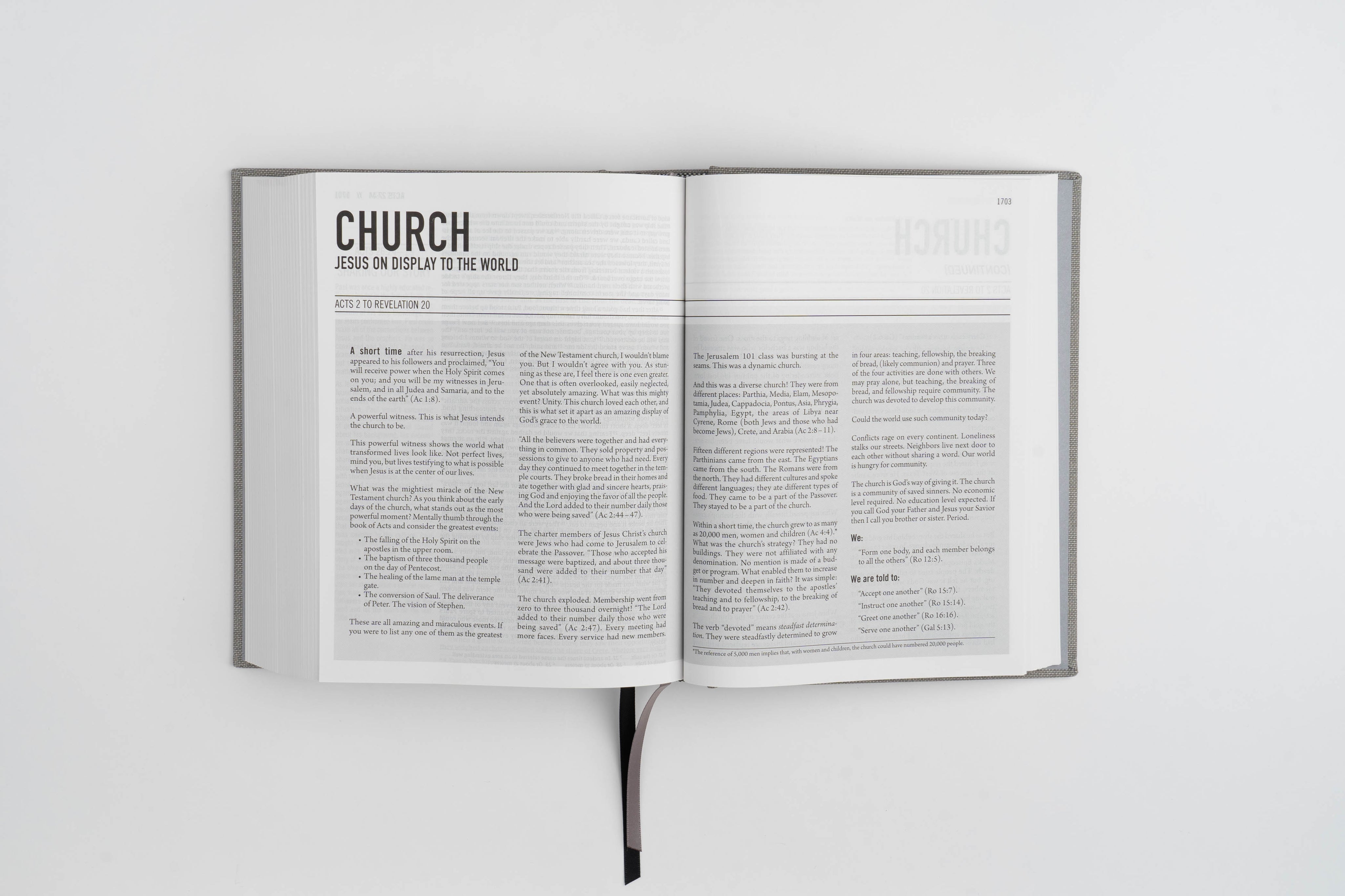 The Jesus Bible - ESV - Black Leather - passion resources