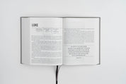 The Jesus Bible - NIV -  Artist Edition Leather (Britt Bass) - passion resources