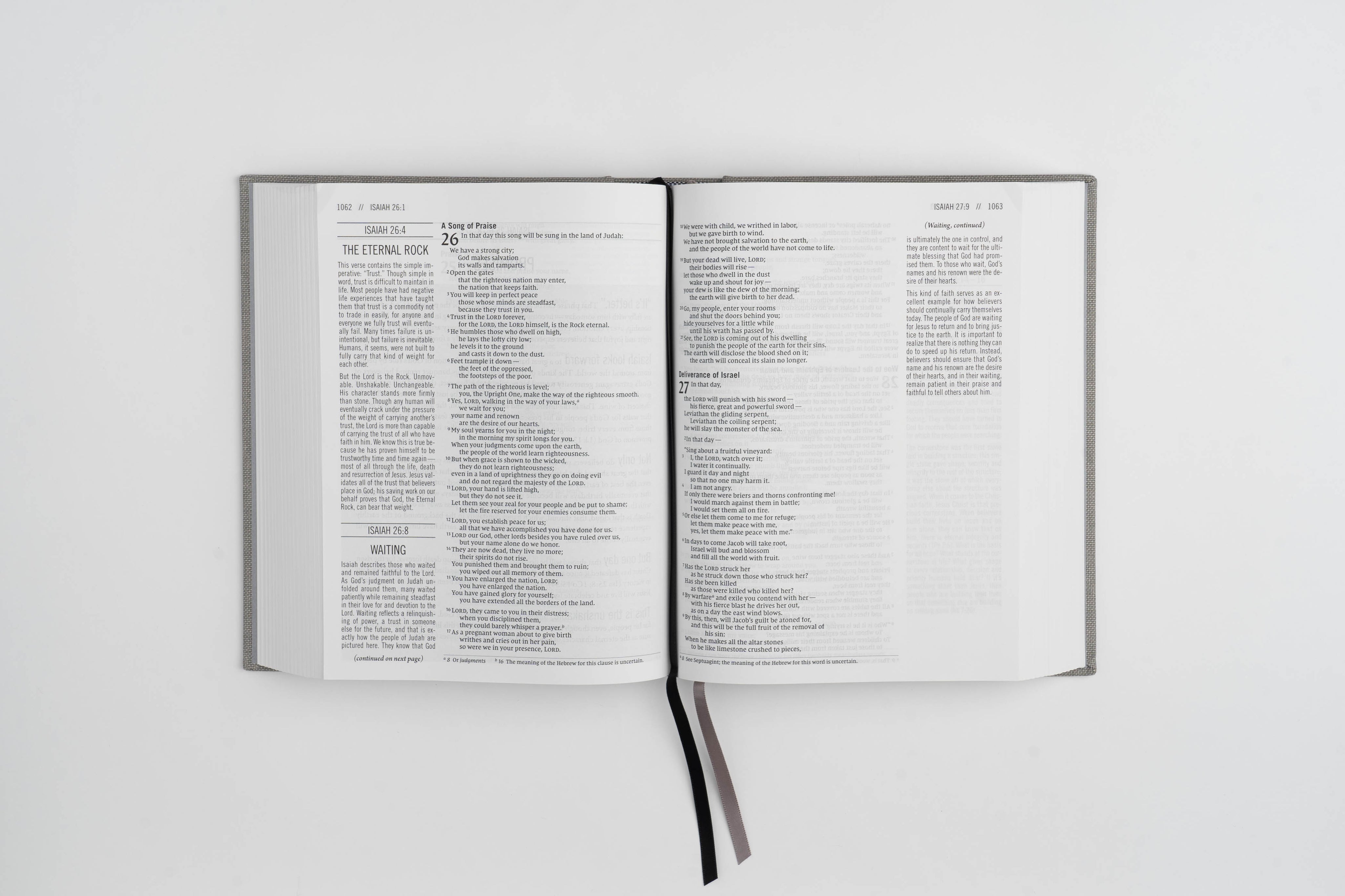 The Jesus Bible - ESV - Charcoal Linen - passion resources