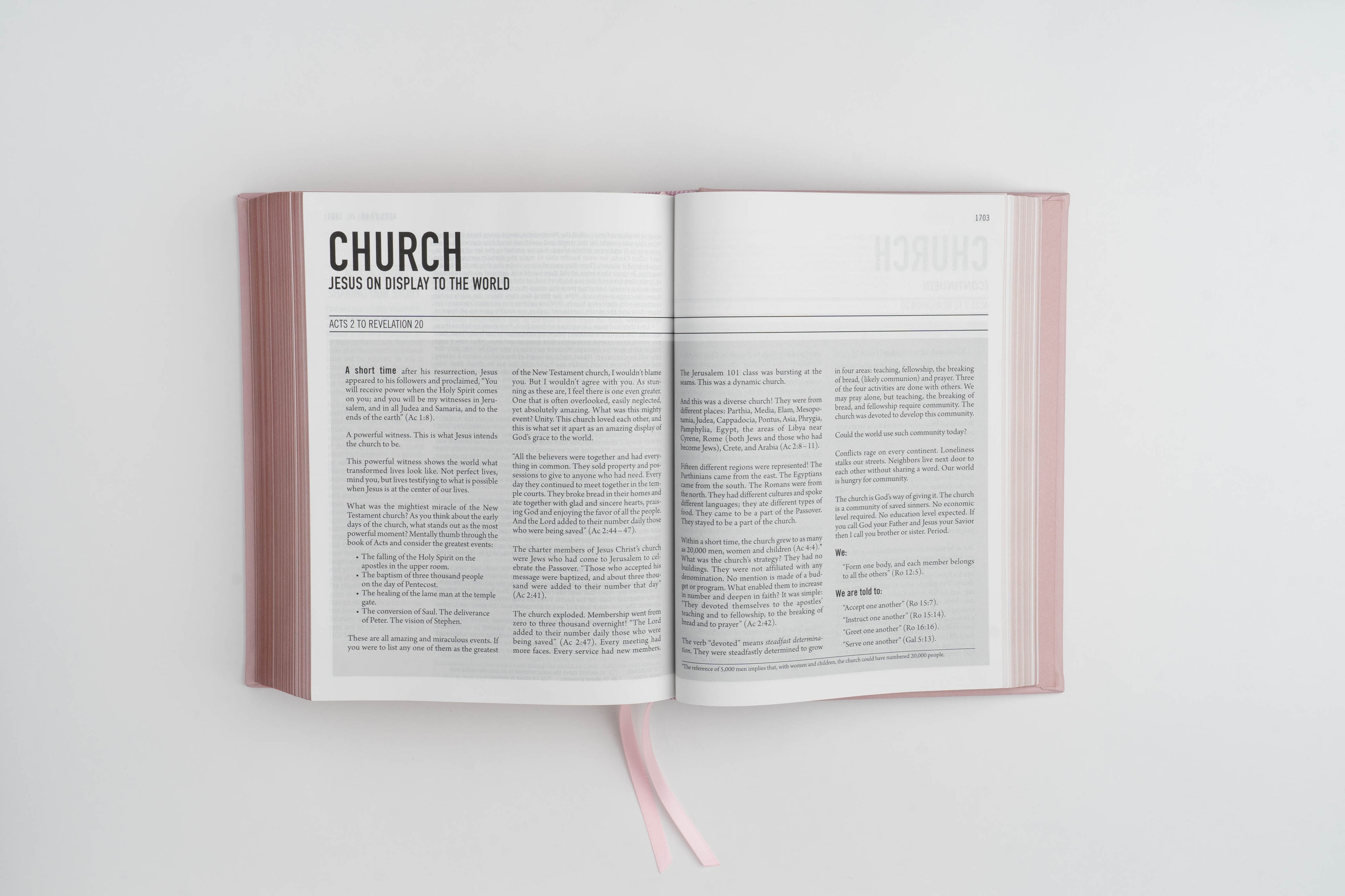 The Jesus Bible - NIV - Blue Leather - passion resources