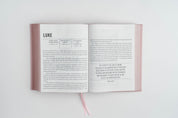 The Jesus Bible - NIV - Blue Leather - passion resources