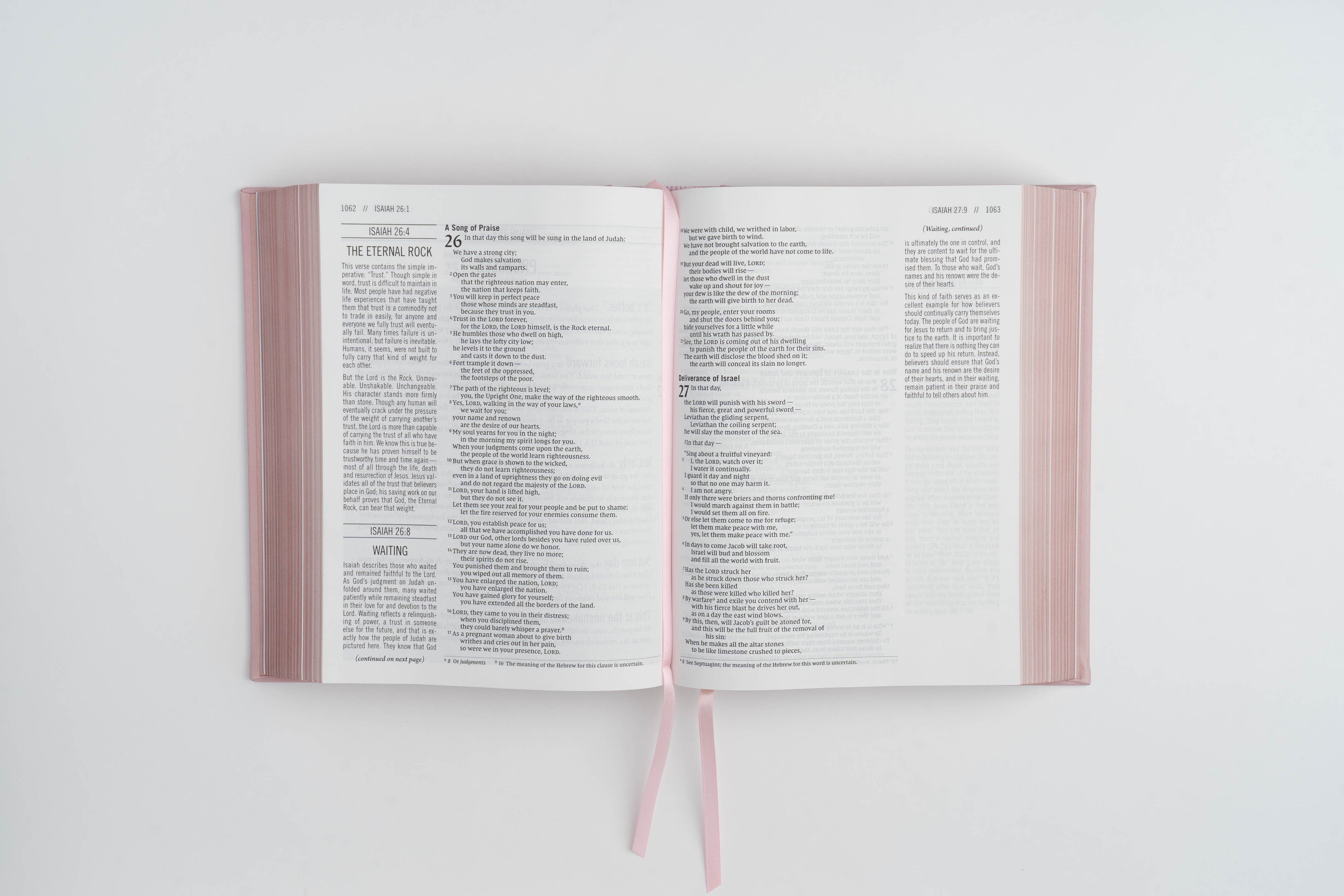 The Jesus Bible - NIV - Blue Leather - passion resources