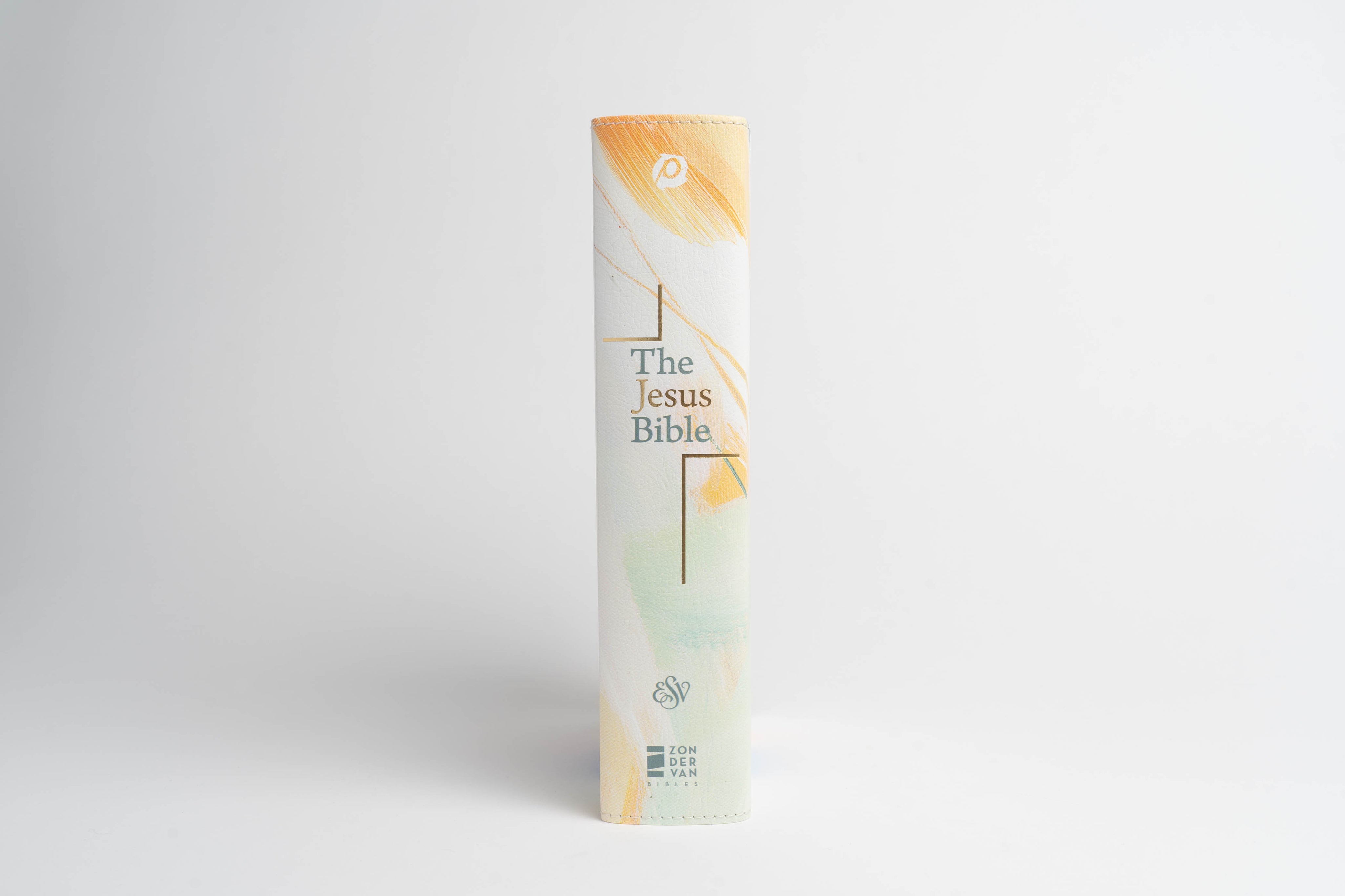 The Jesus Bible - ESV -  Artist Edition Leather (Britt Bass) - passion resources