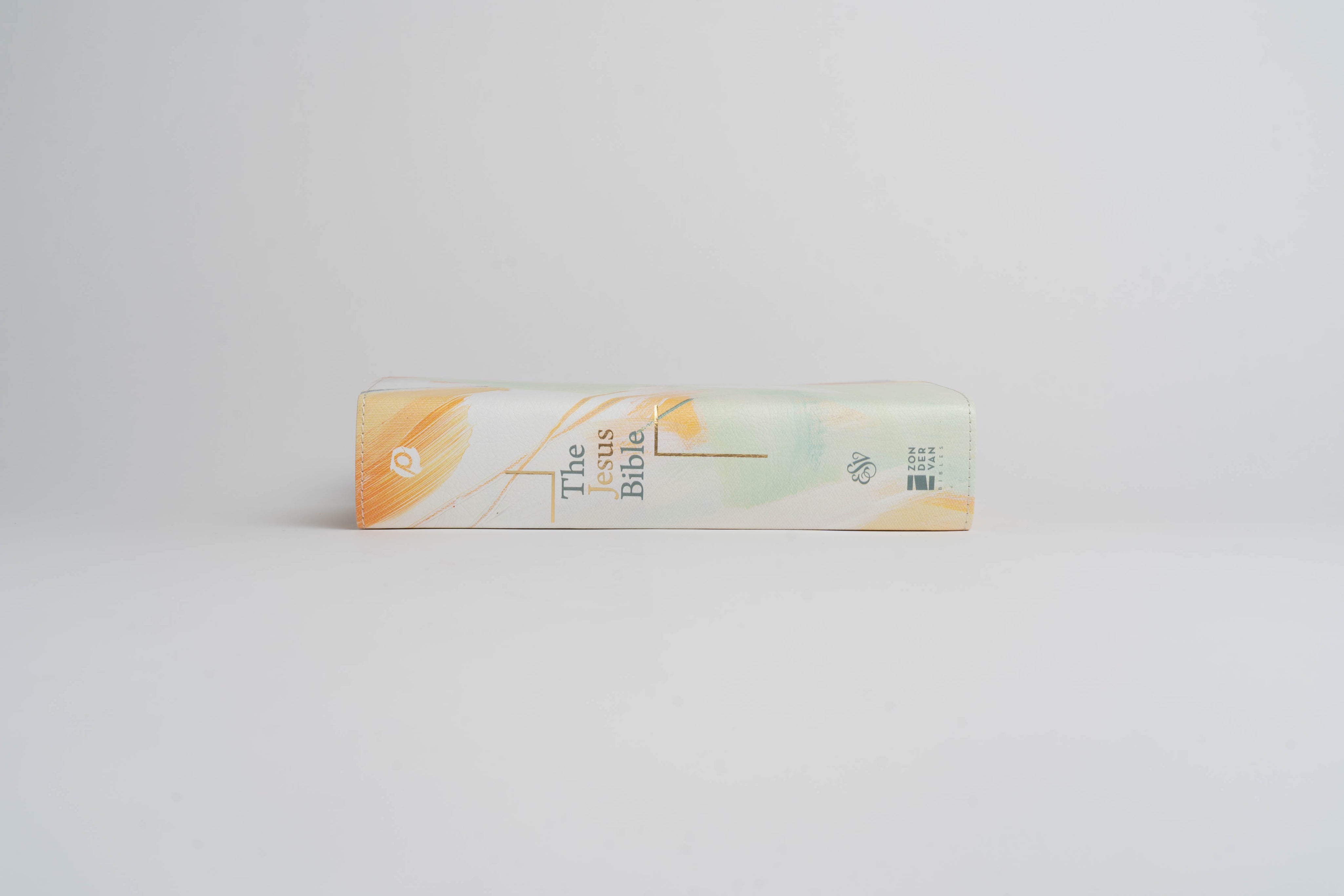 The Jesus Bible - ESV -  Artist Edition Leather (Britt Bass) - passion resources