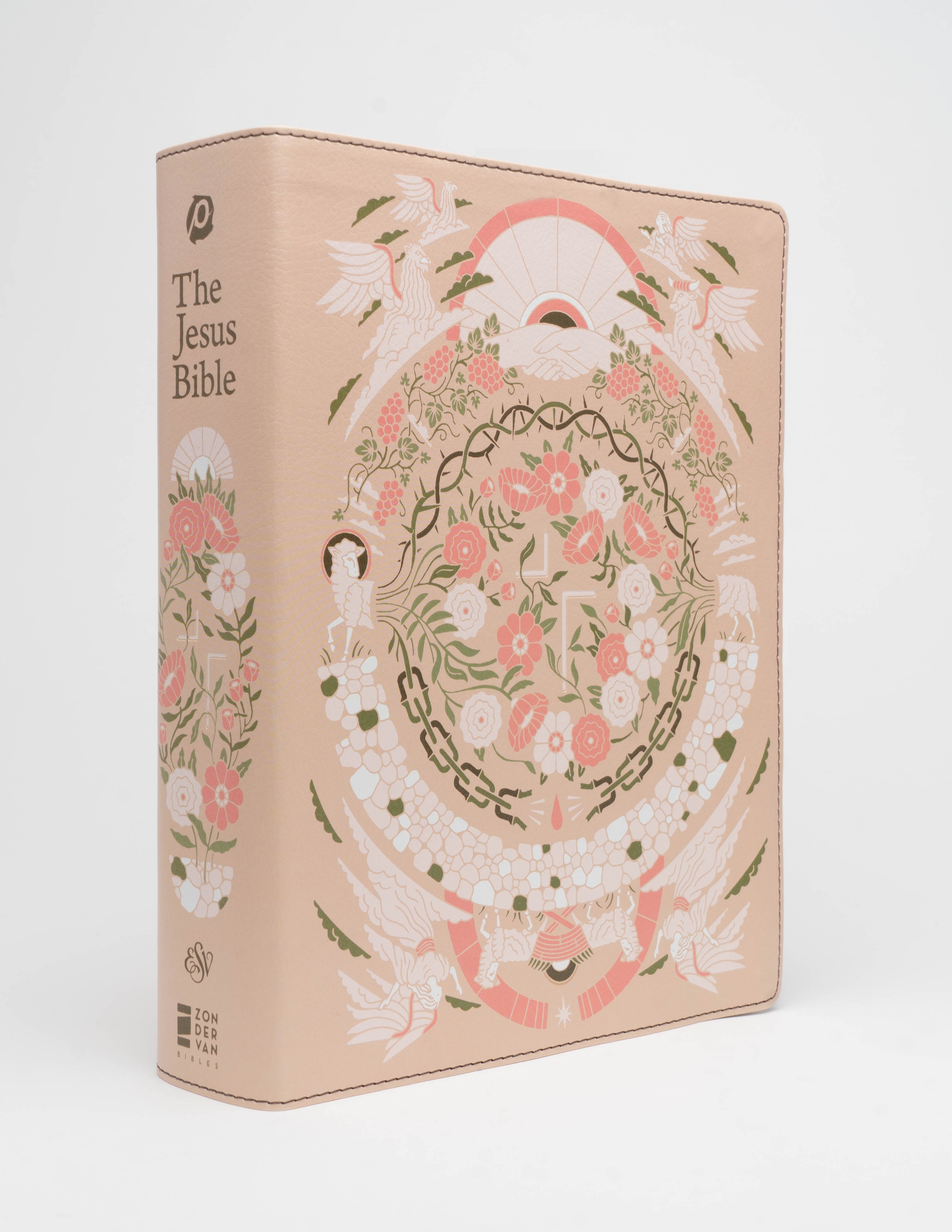 The Jesus Bible - ESV - Artist Edition Leather (Joshua Noom) Peach