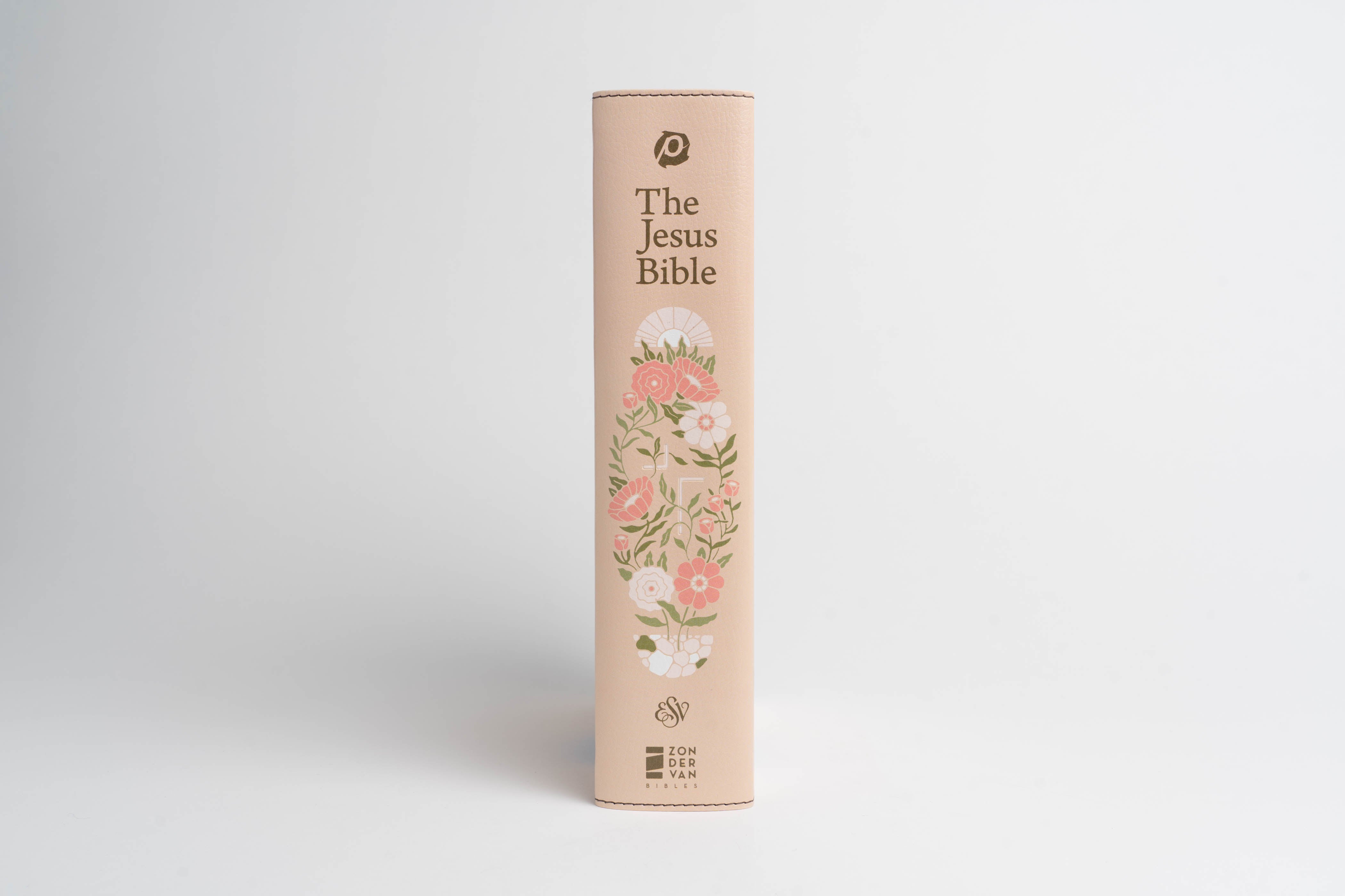 The Jesus Bible - ESV - Artist Edition Leather (Joshua Noom) Peach