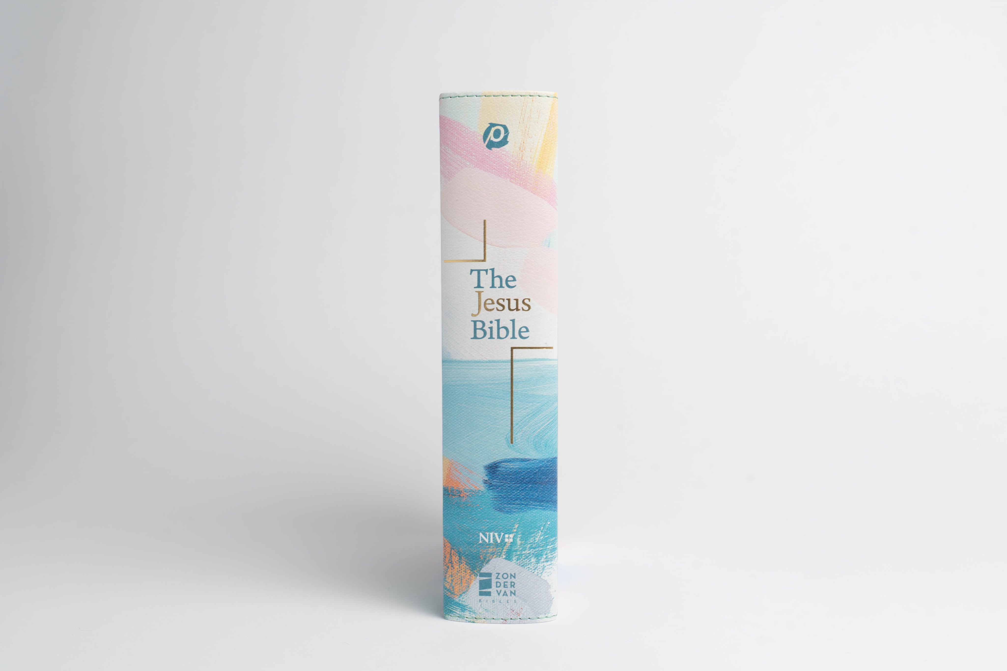 The Jesus Bible - NIV -  Artist Edition Leather (Britt Bass) - passion resources