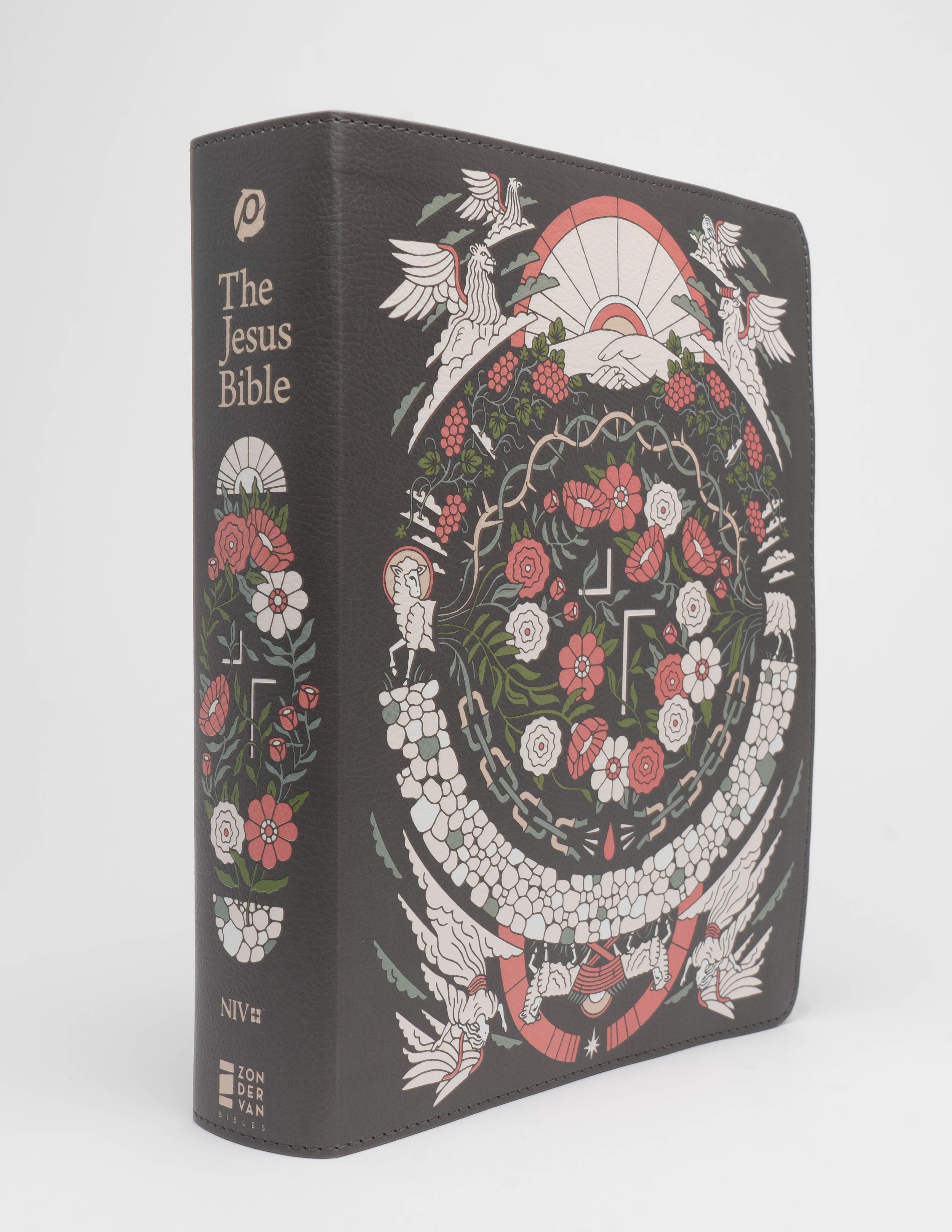 The Jesus Bible - NIV - Artist Edition Leather (Joshua Noom) Gray