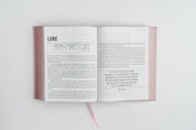The Jesus Bible - NIV - Blue Leather - passion resources