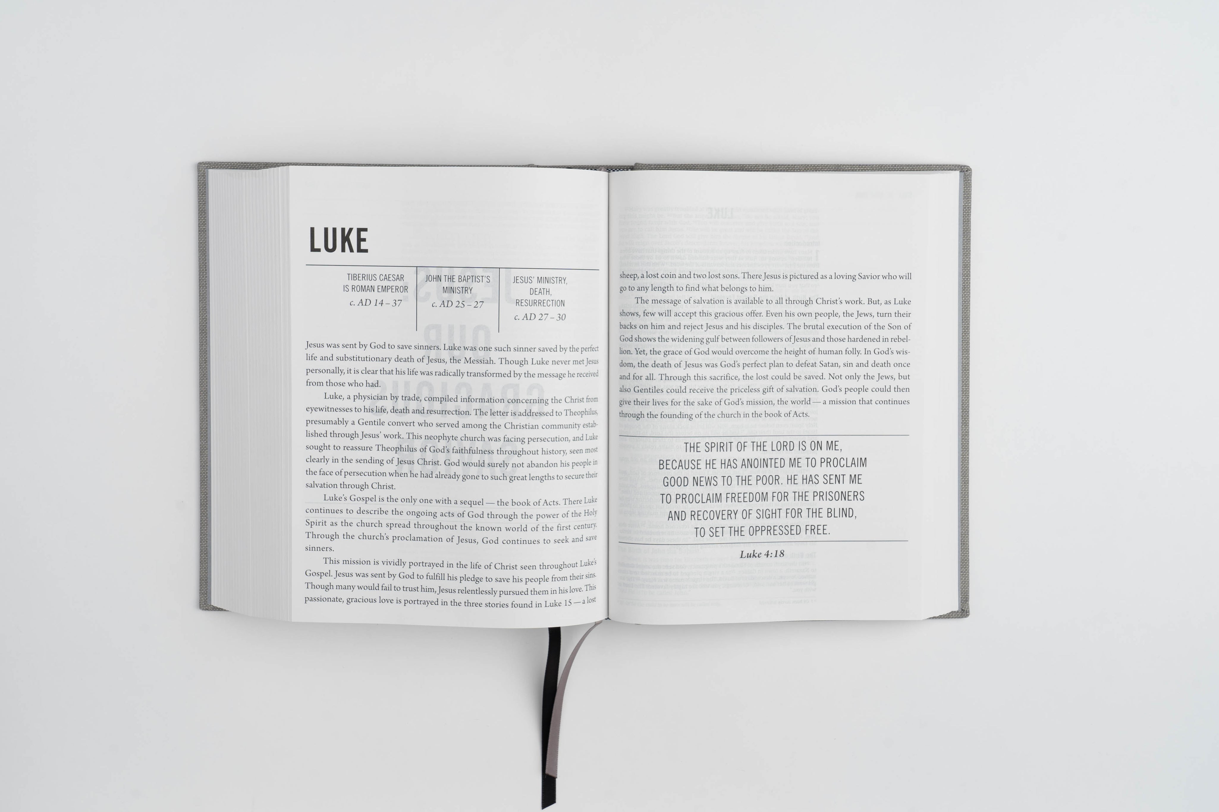 The Jesus Bible - NIV - Gray Linen - passion resources