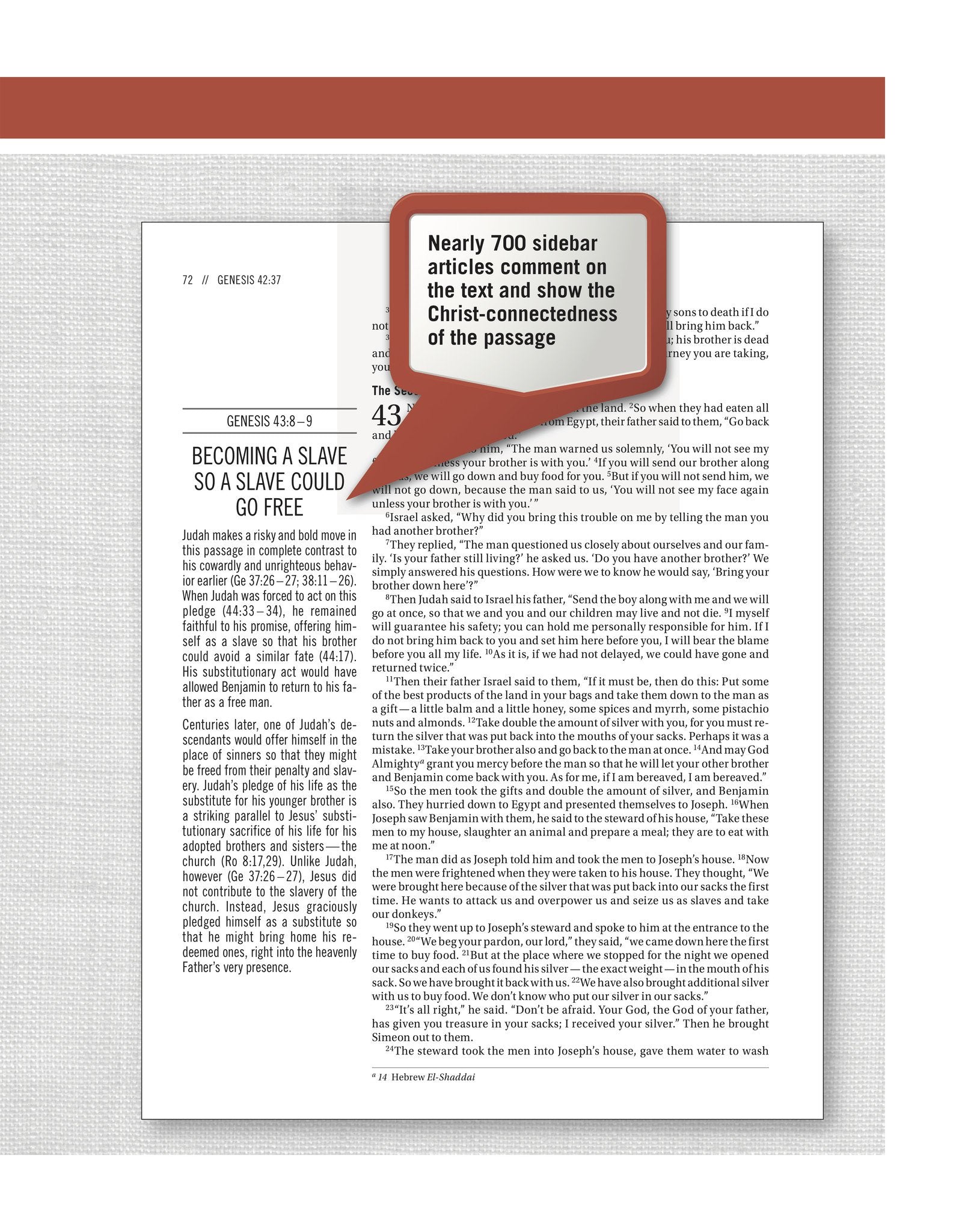 The Jesus Bible - NIV - Gray Linen - passion resources