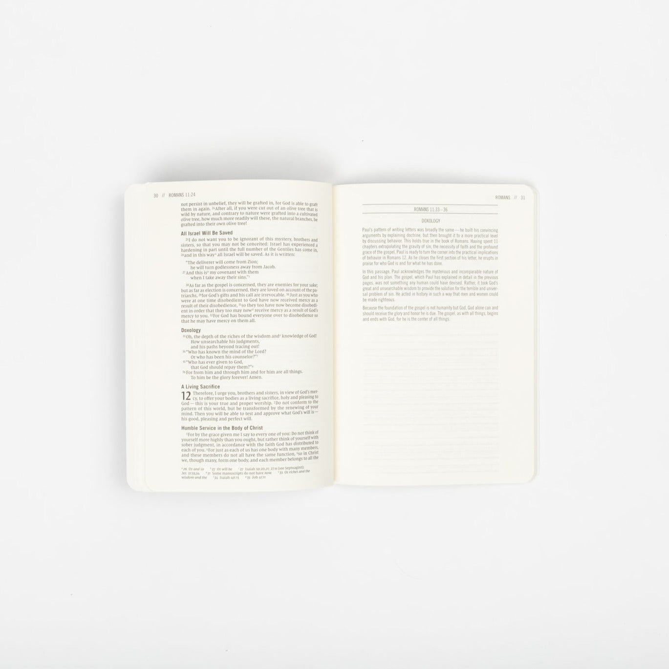 The Jesus Bible Journals - Revelation - passion resources