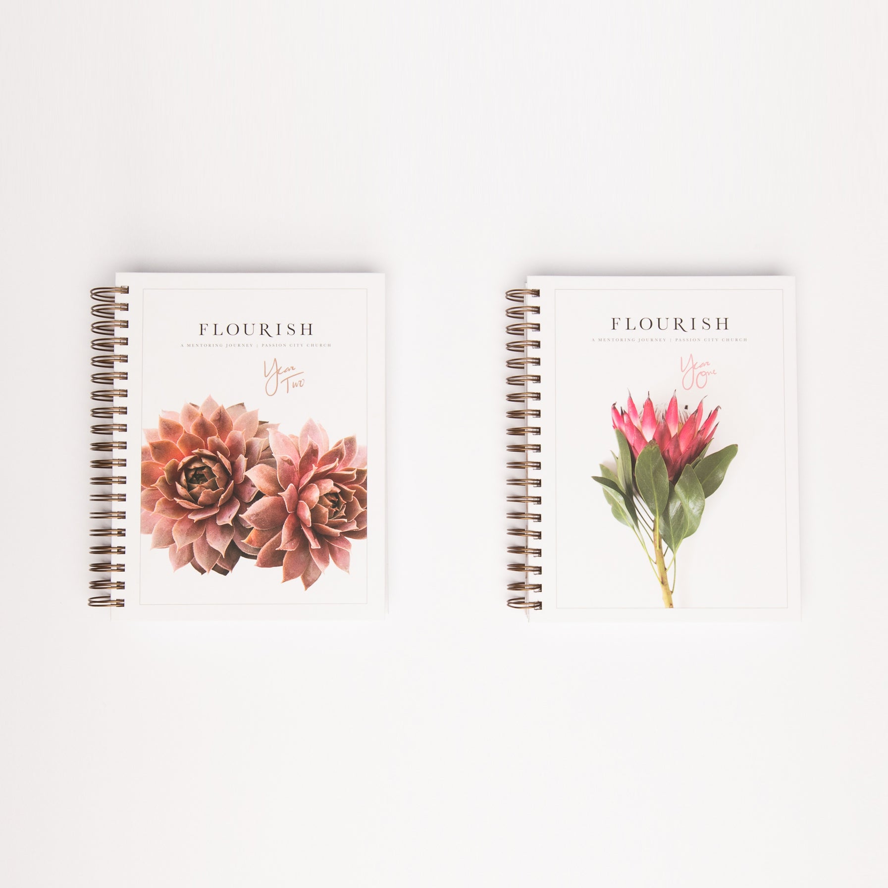 Flourish: A Mentoring Journey Year 1+2 Bundle - passion resources