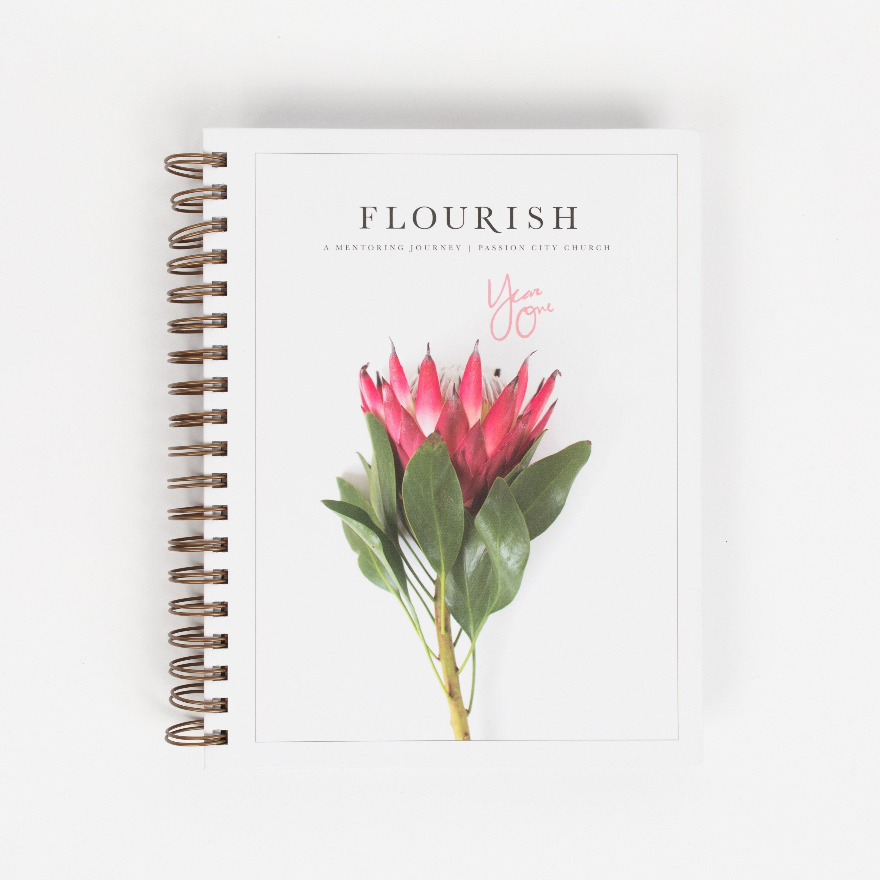 Flourish: A Mentoring Journey Year 1+2 Bundle - passion resources