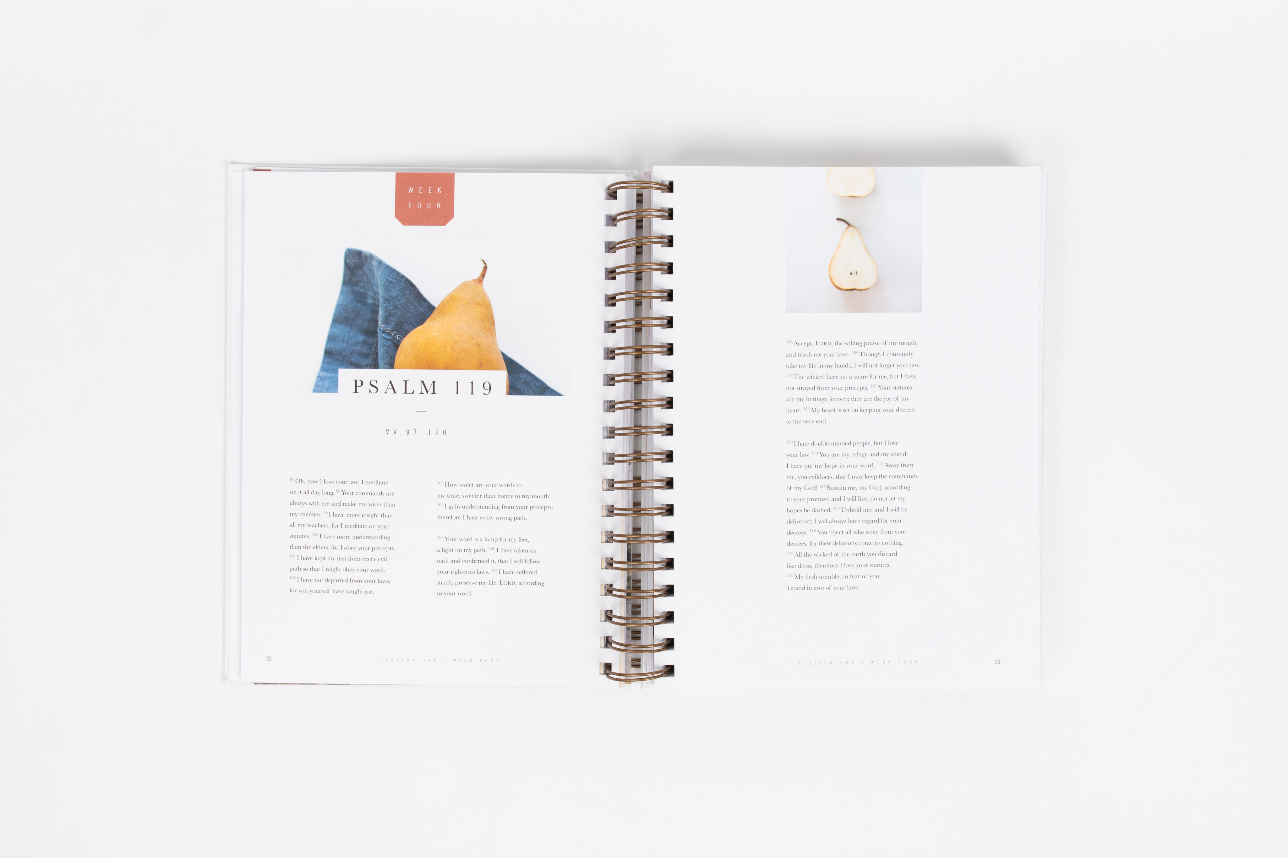 Flourish: A Mentoring Journey - Year One - passion resources