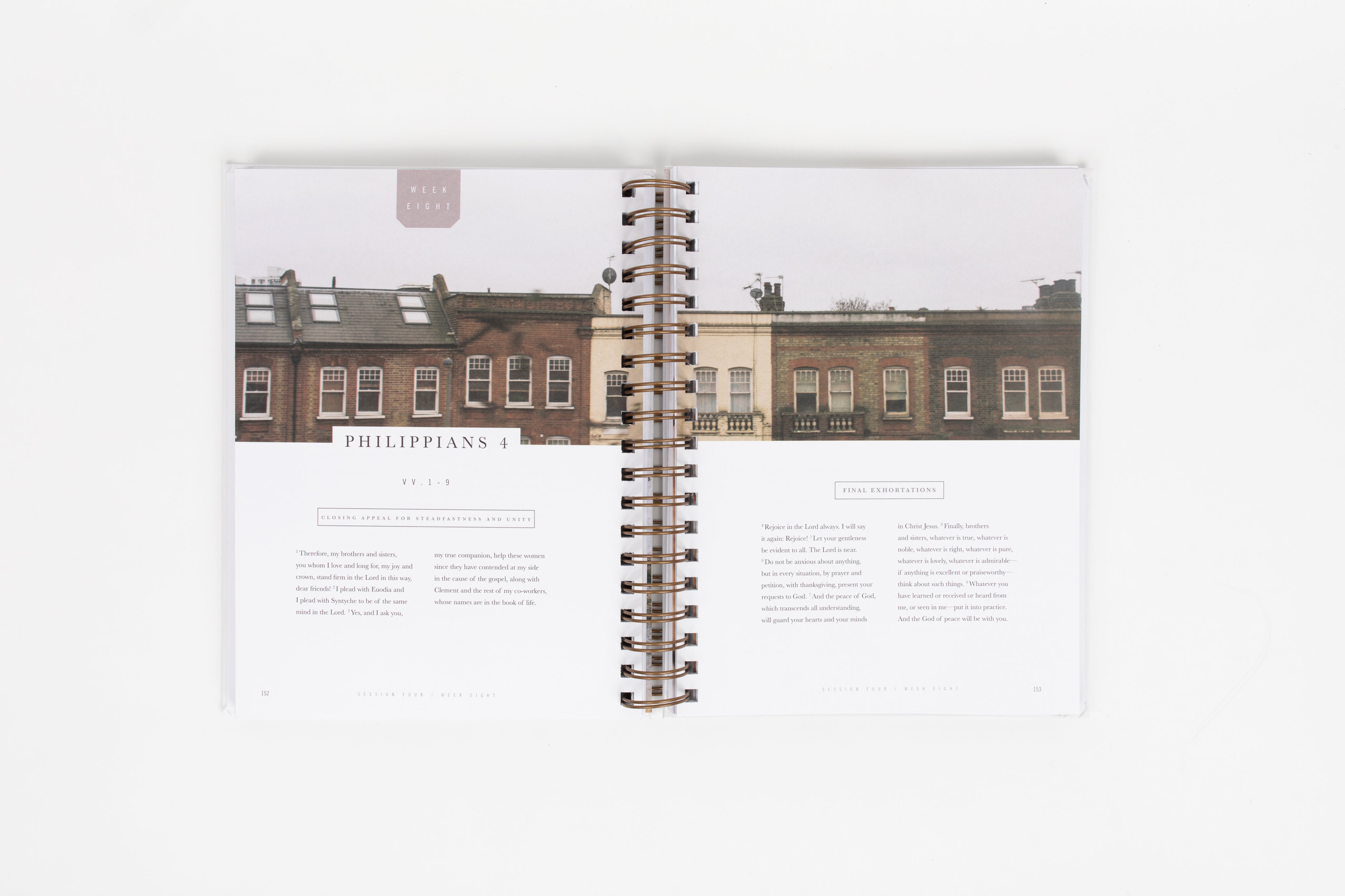 Flourish: A Mentoring Journey - Year One - passion resources