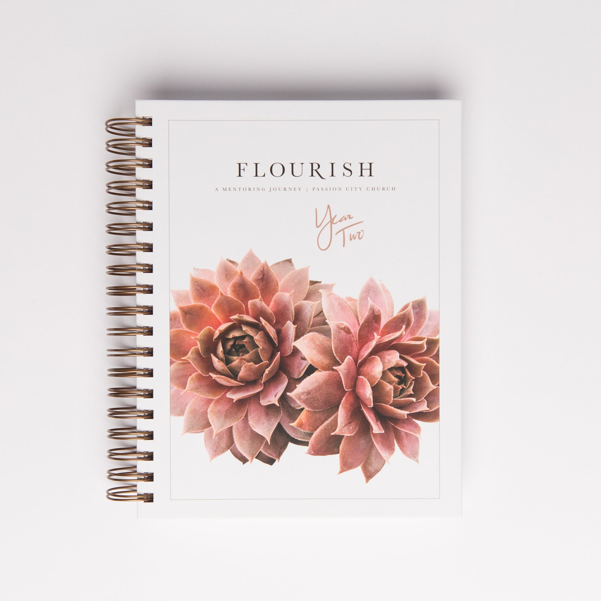 Flourish: A Mentoring Journey - Year Two - passion resources