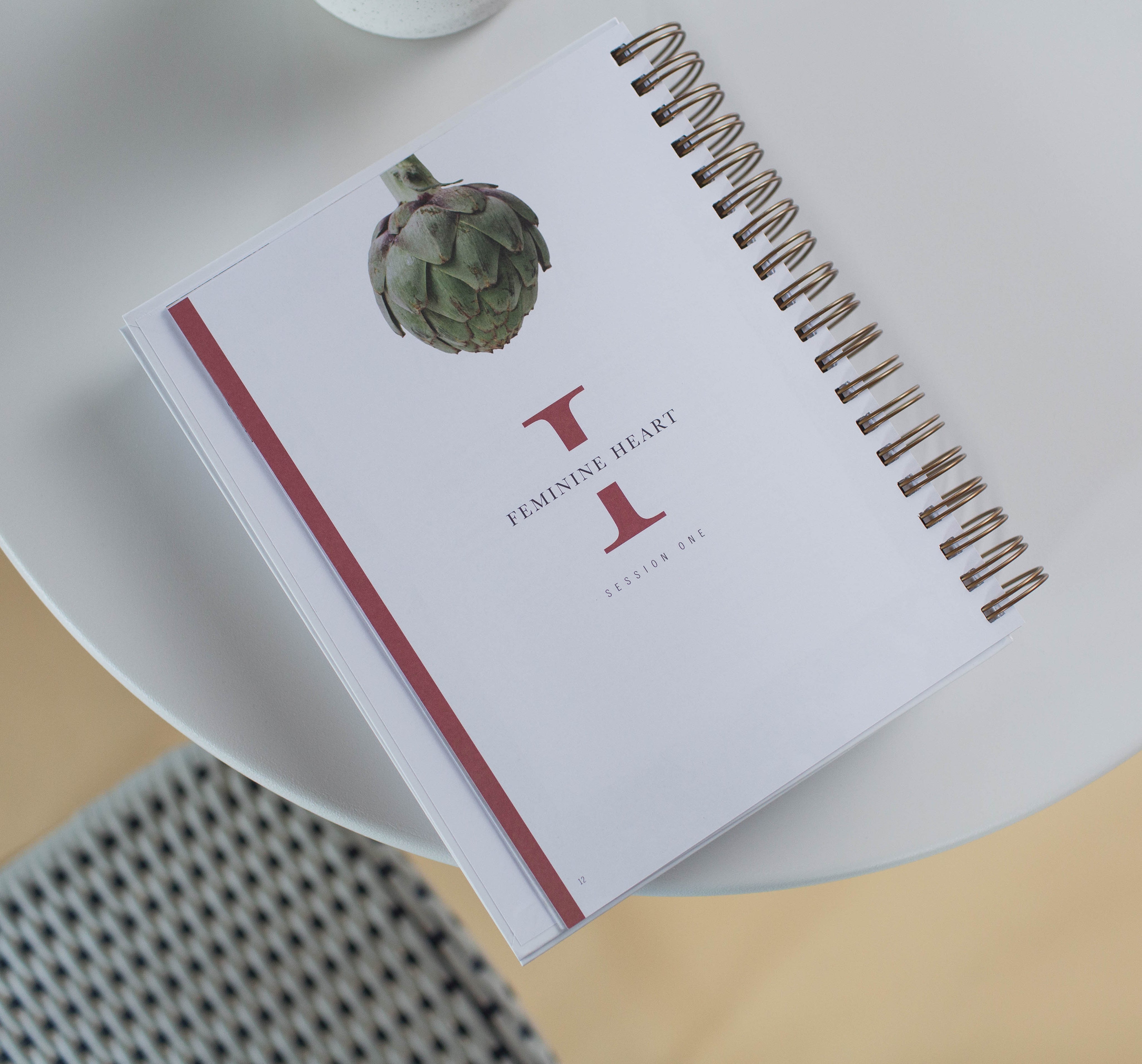 Flourish: A Mentoring Journey - Year Two - passion resources