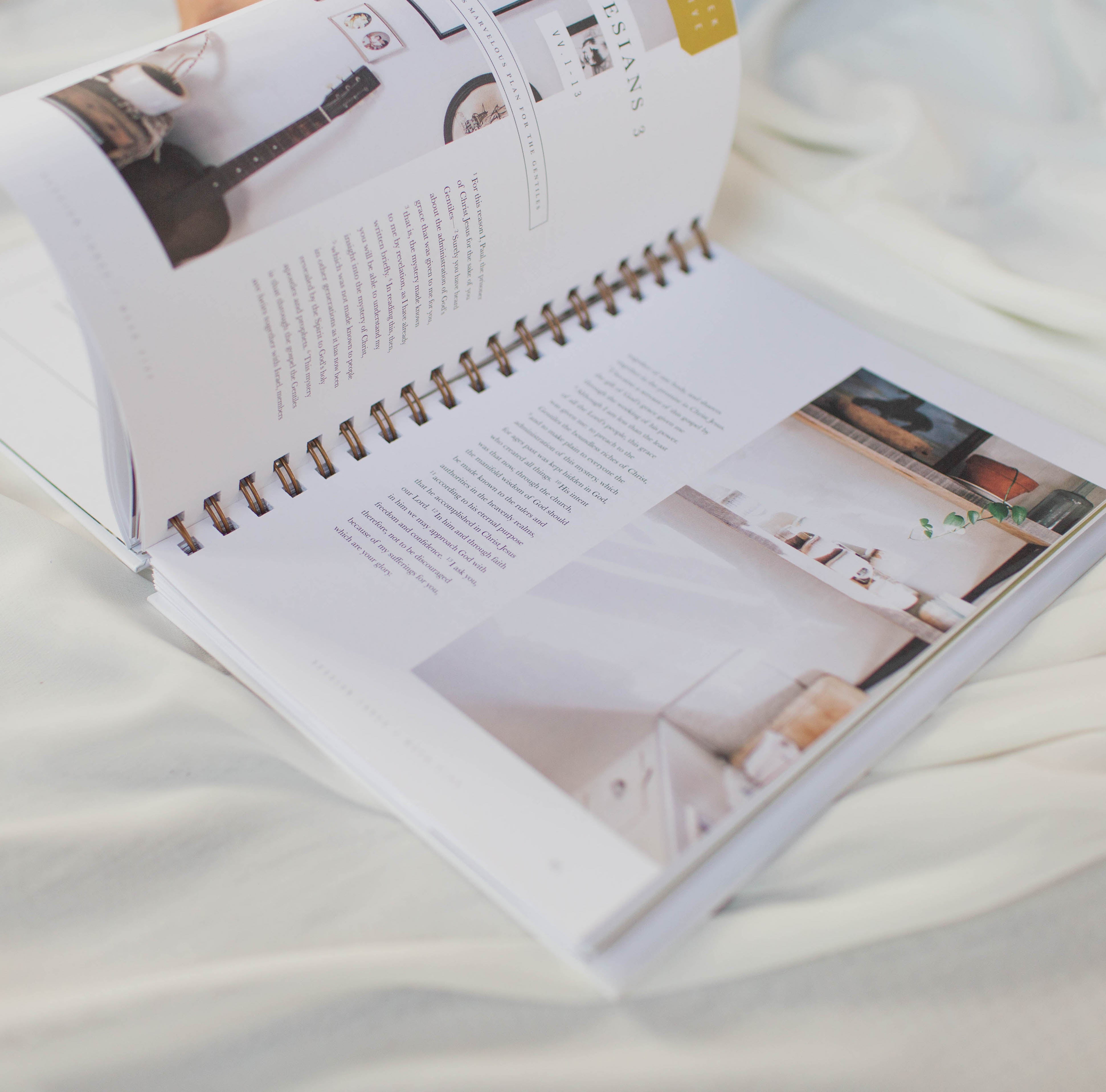 Flourish: A Mentoring Journey - Year Two - passion resources