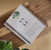 Flourish: A Mentoring Journey - Year Two - passion resources