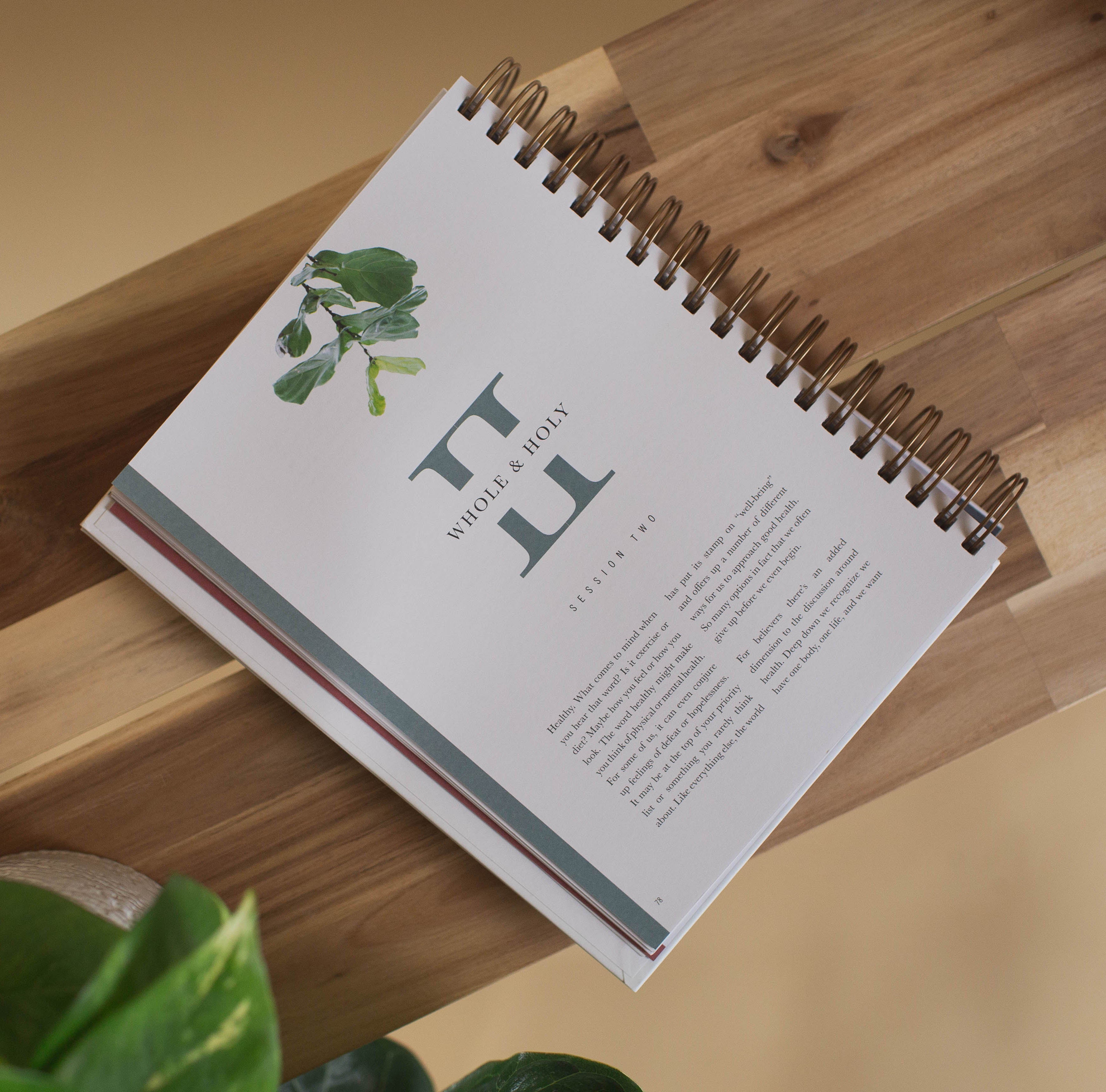 Flourish: A Mentoring Journey - Year Two - passion resources