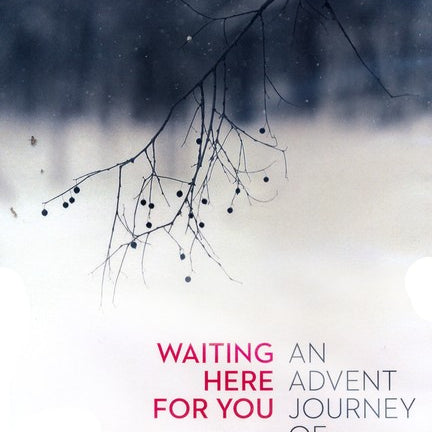 Waiting Here For You: An Advent Journey of Hope (DVD) - Louie Giglio - passion resources